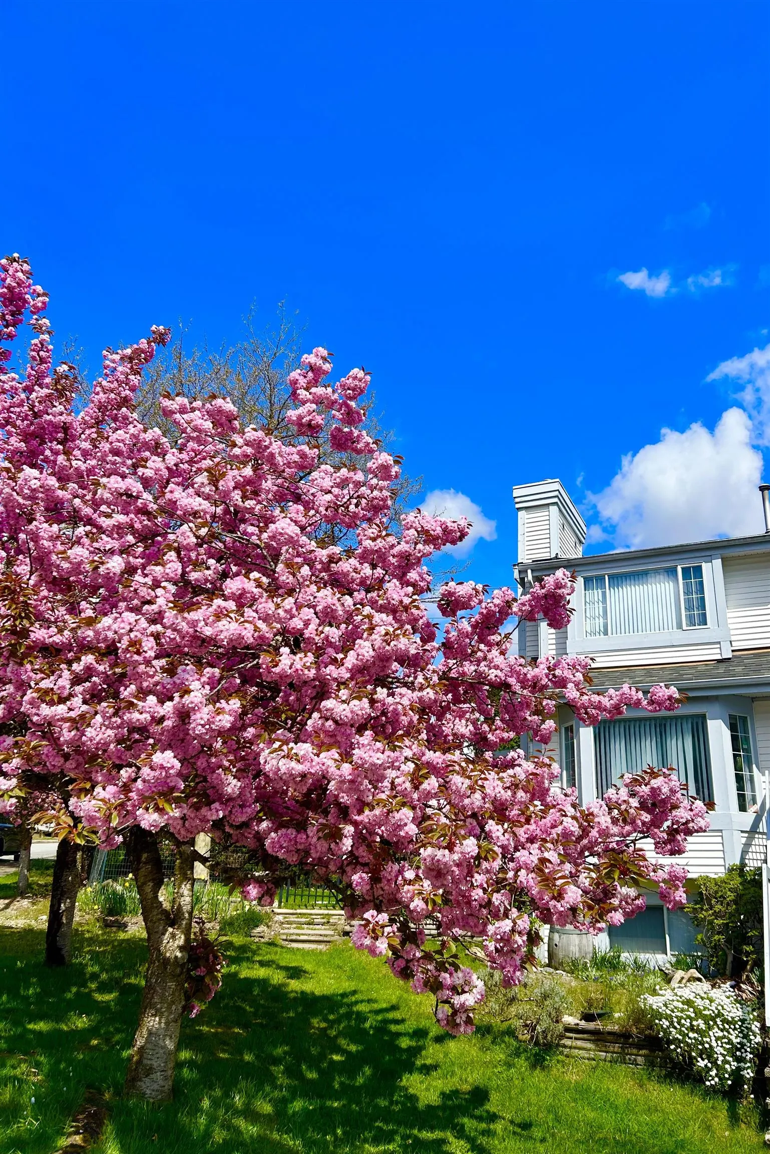 2939 Cliffrose Crescent