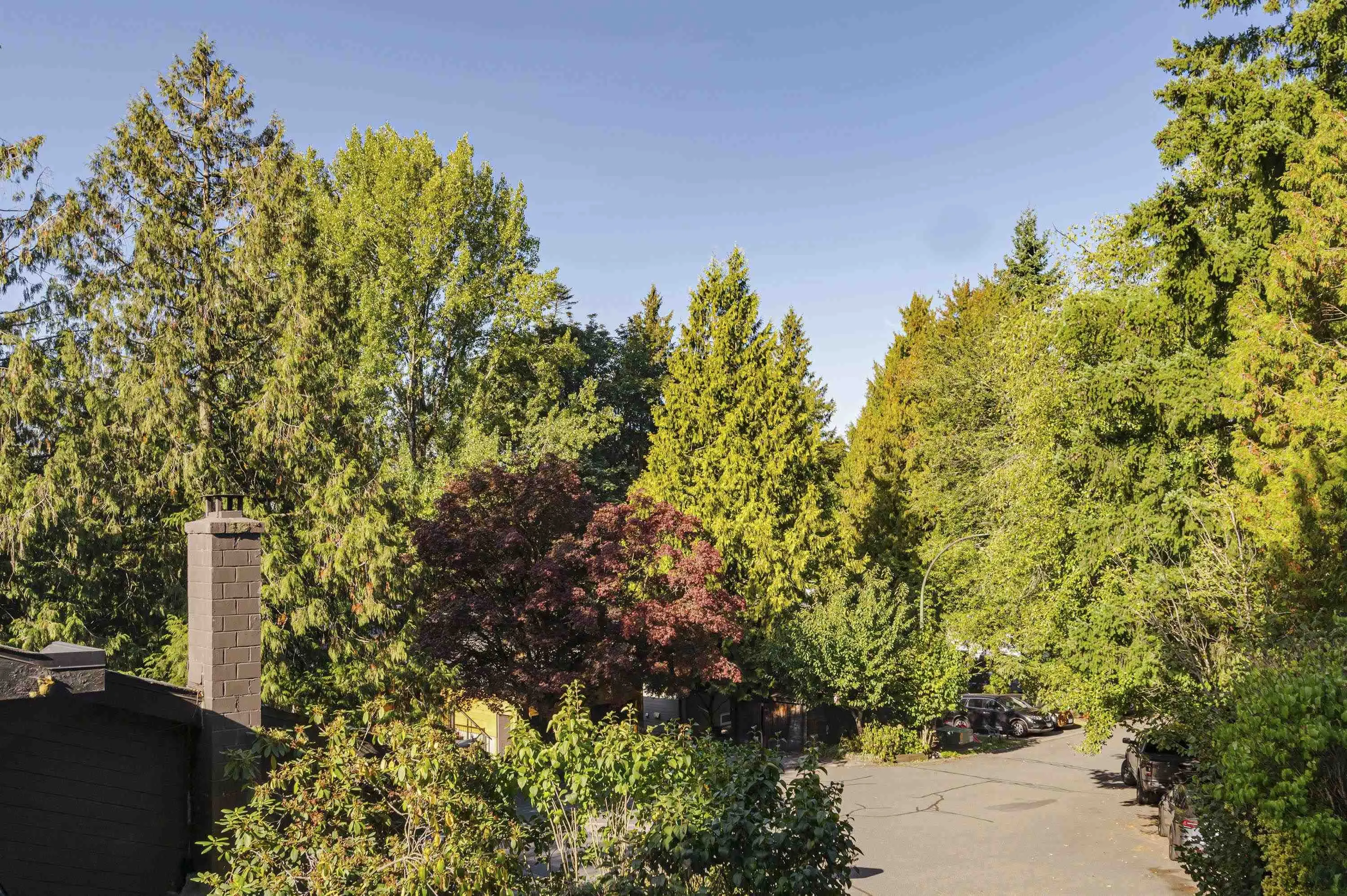 8366 Arbour Place