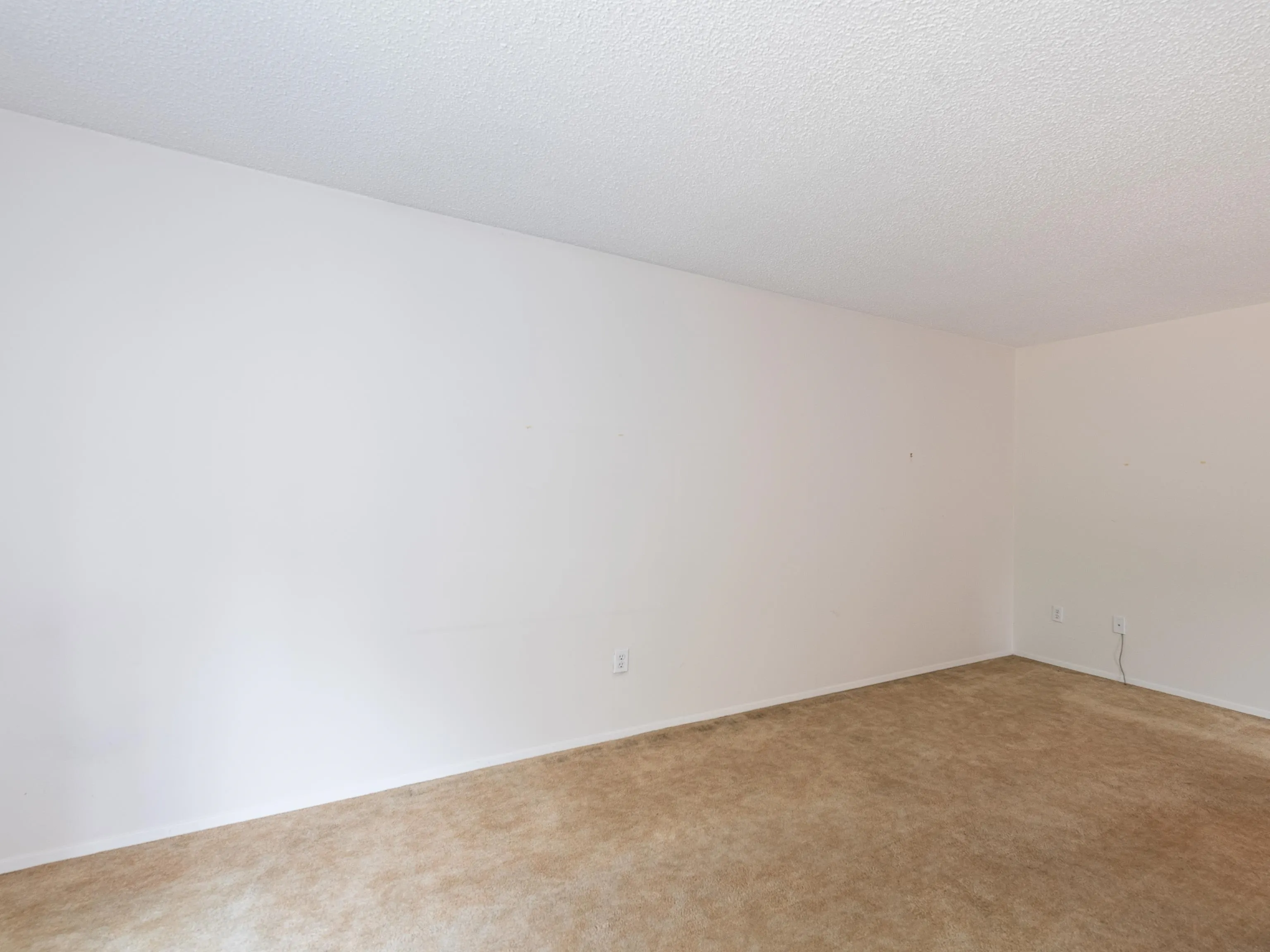 4245 Birchwood Crescent
