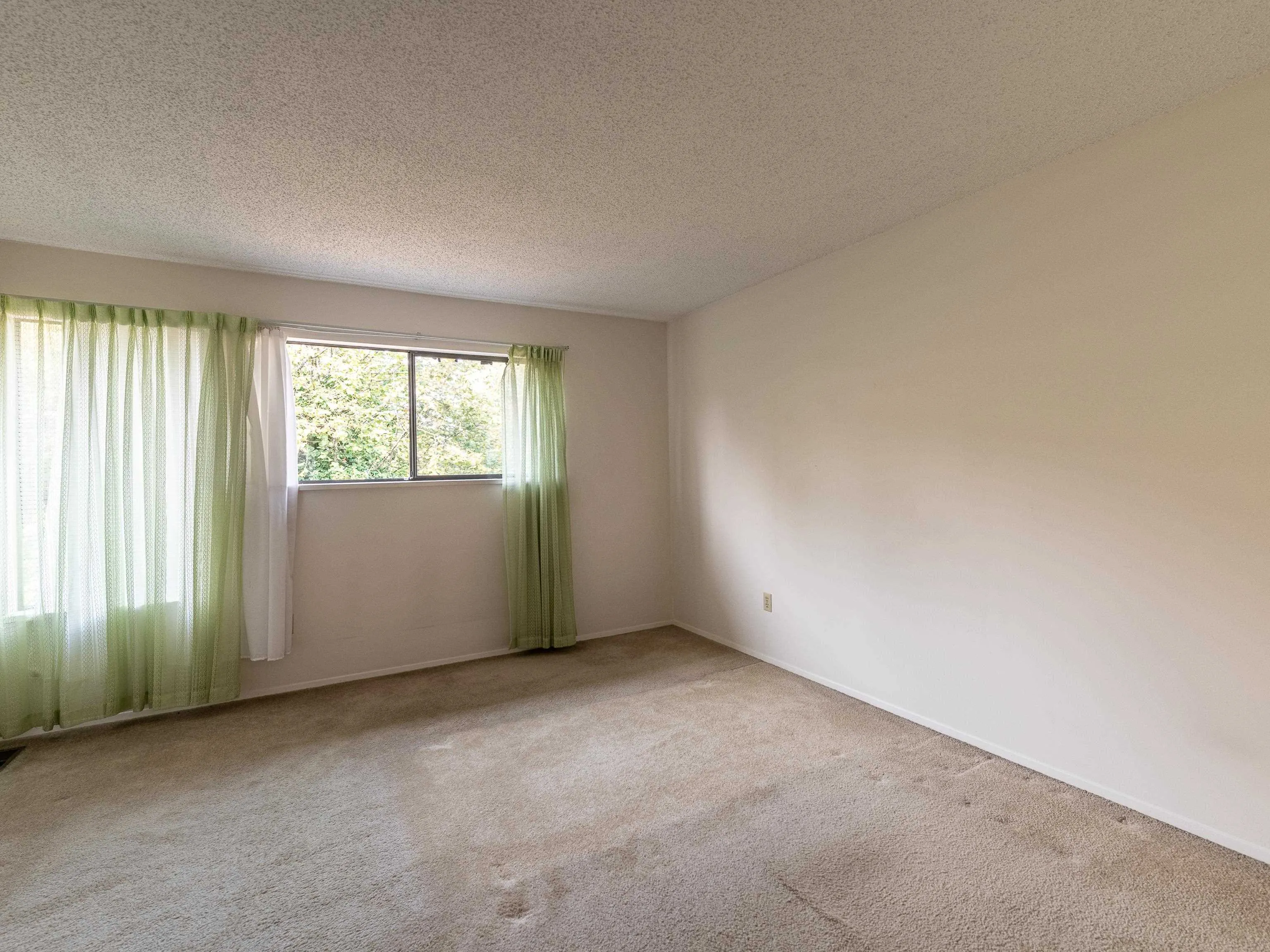 4245 Birchwood Crescent