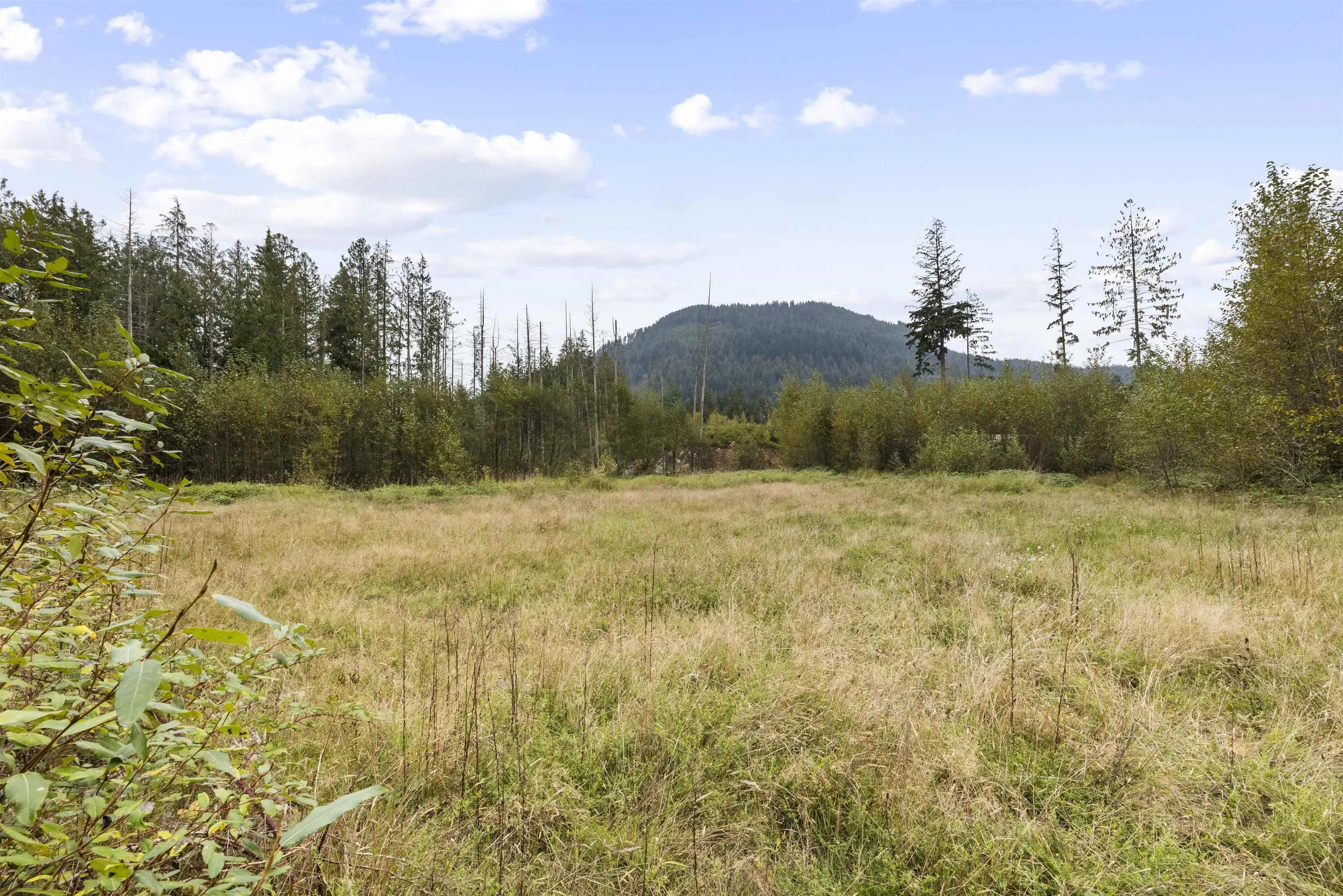 32482 Dewdney Trunk Road