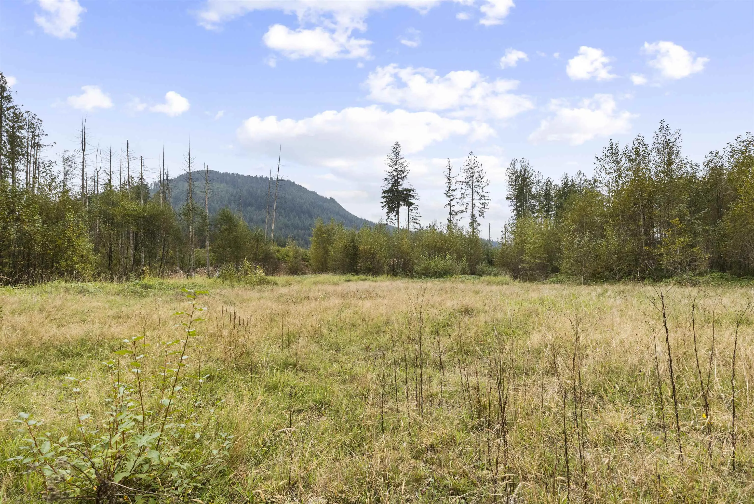 32482 Dewdney Trunk Road