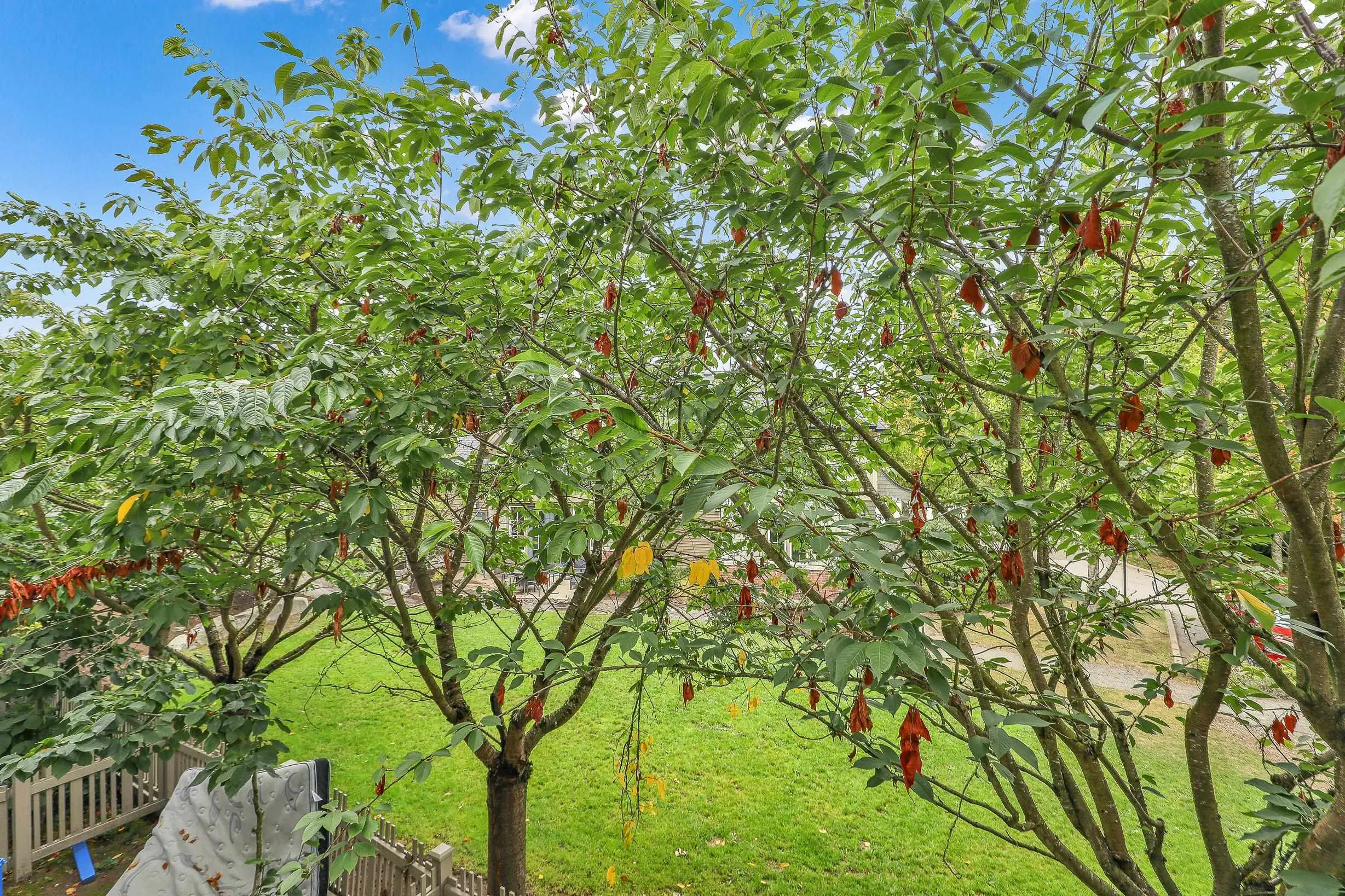 68 14838 61 Avenue
