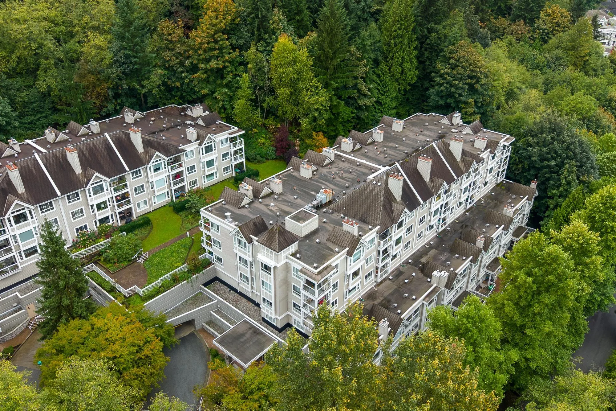 202 3033 Terravista Place