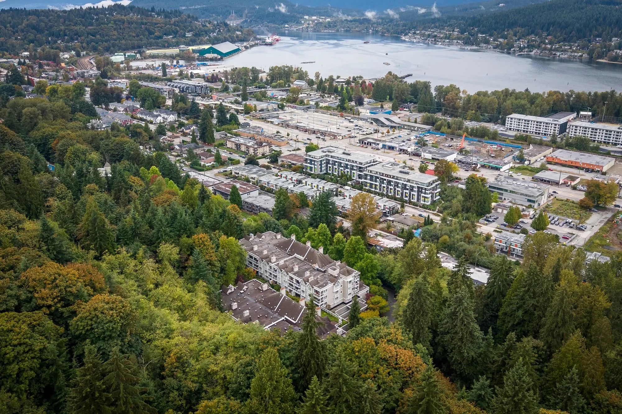 202 3033 Terravista Place