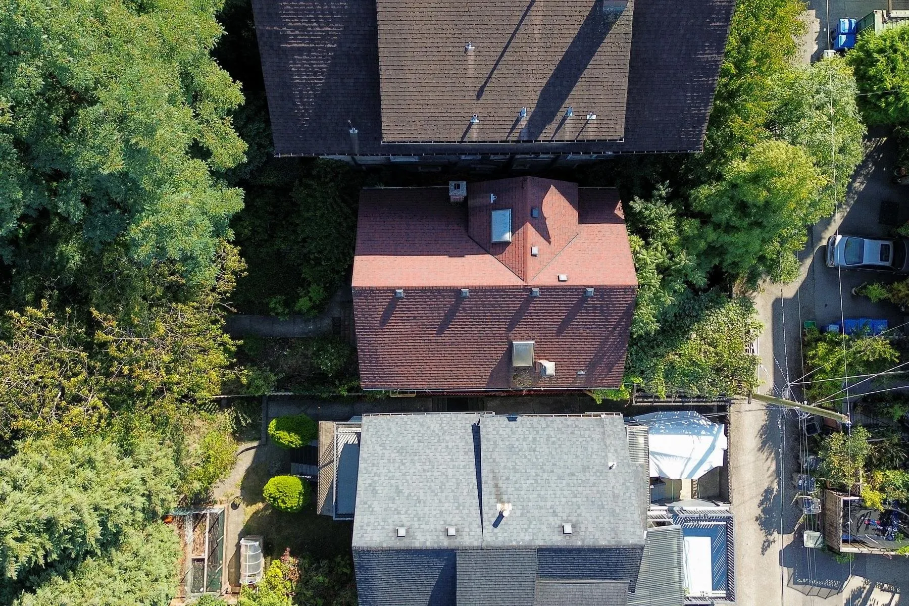 1149 Lily Street