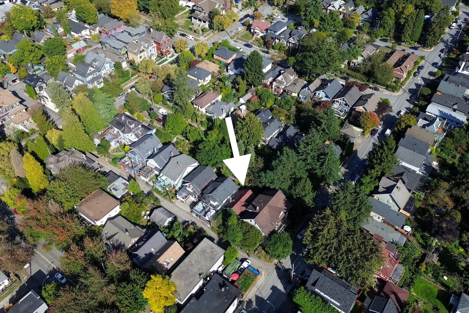 1149 Lily Street