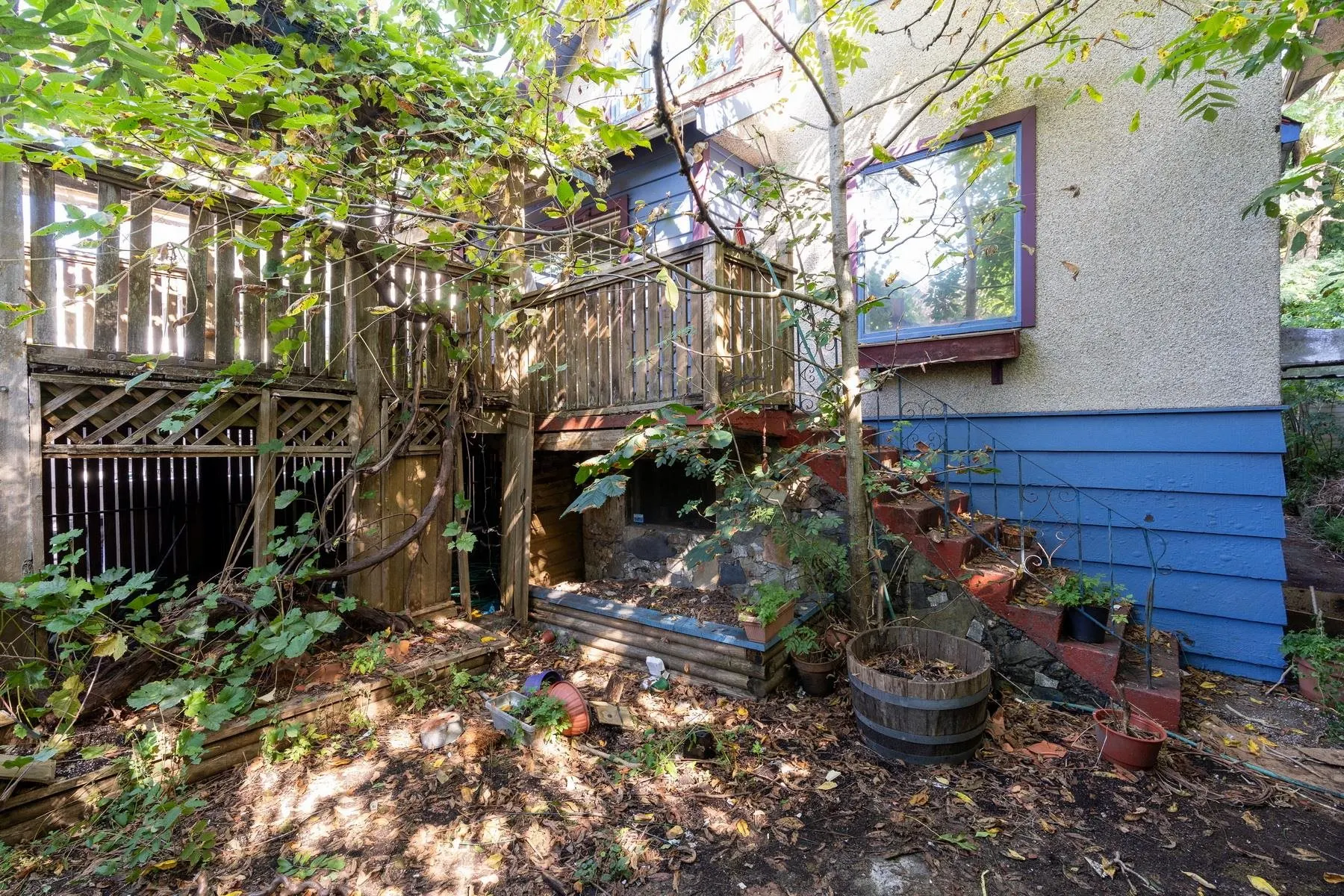 1149 Lily Street