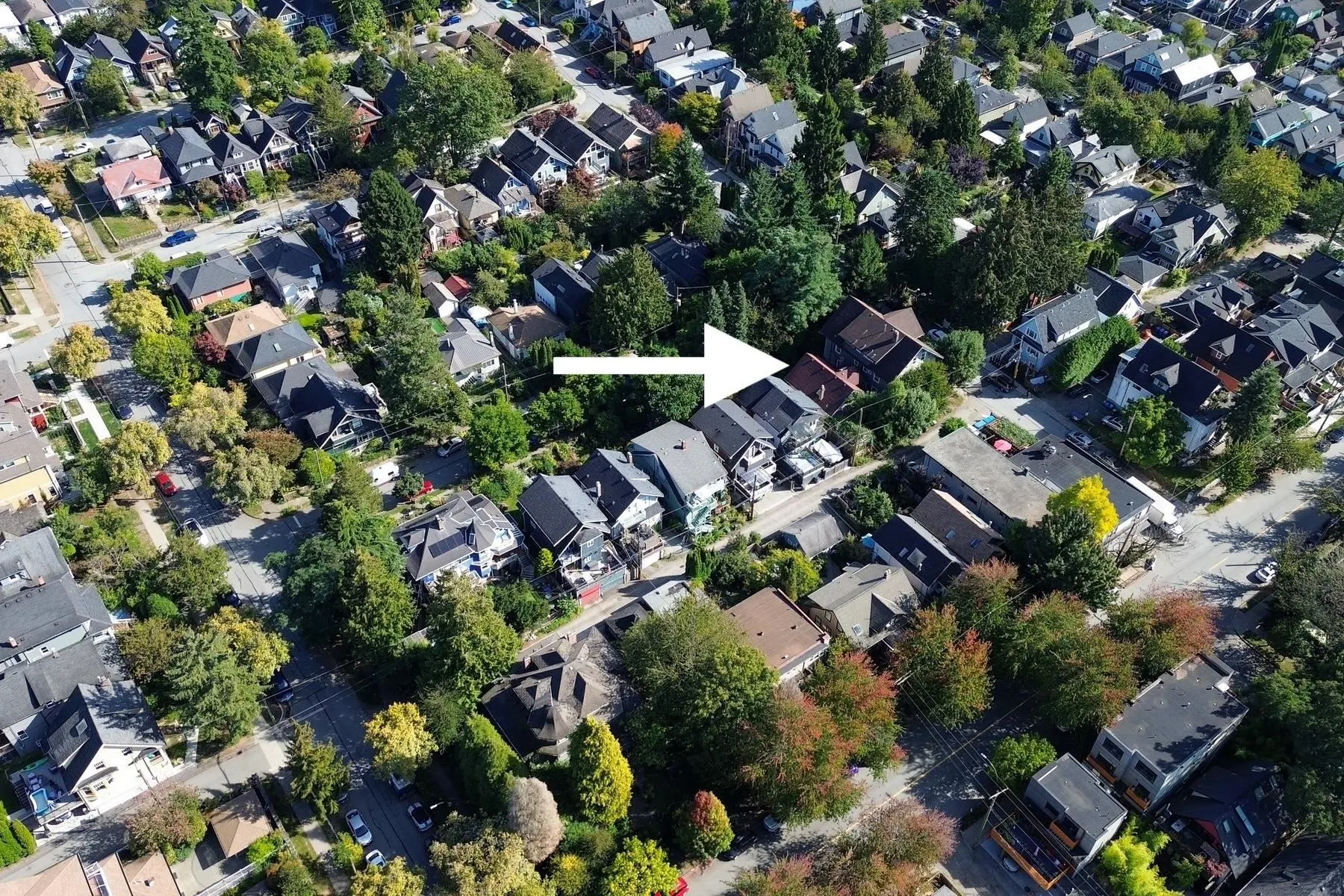 1149 Lily Street