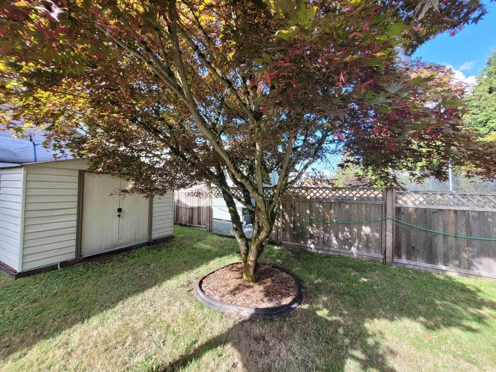 3712 Dunsmuir Way