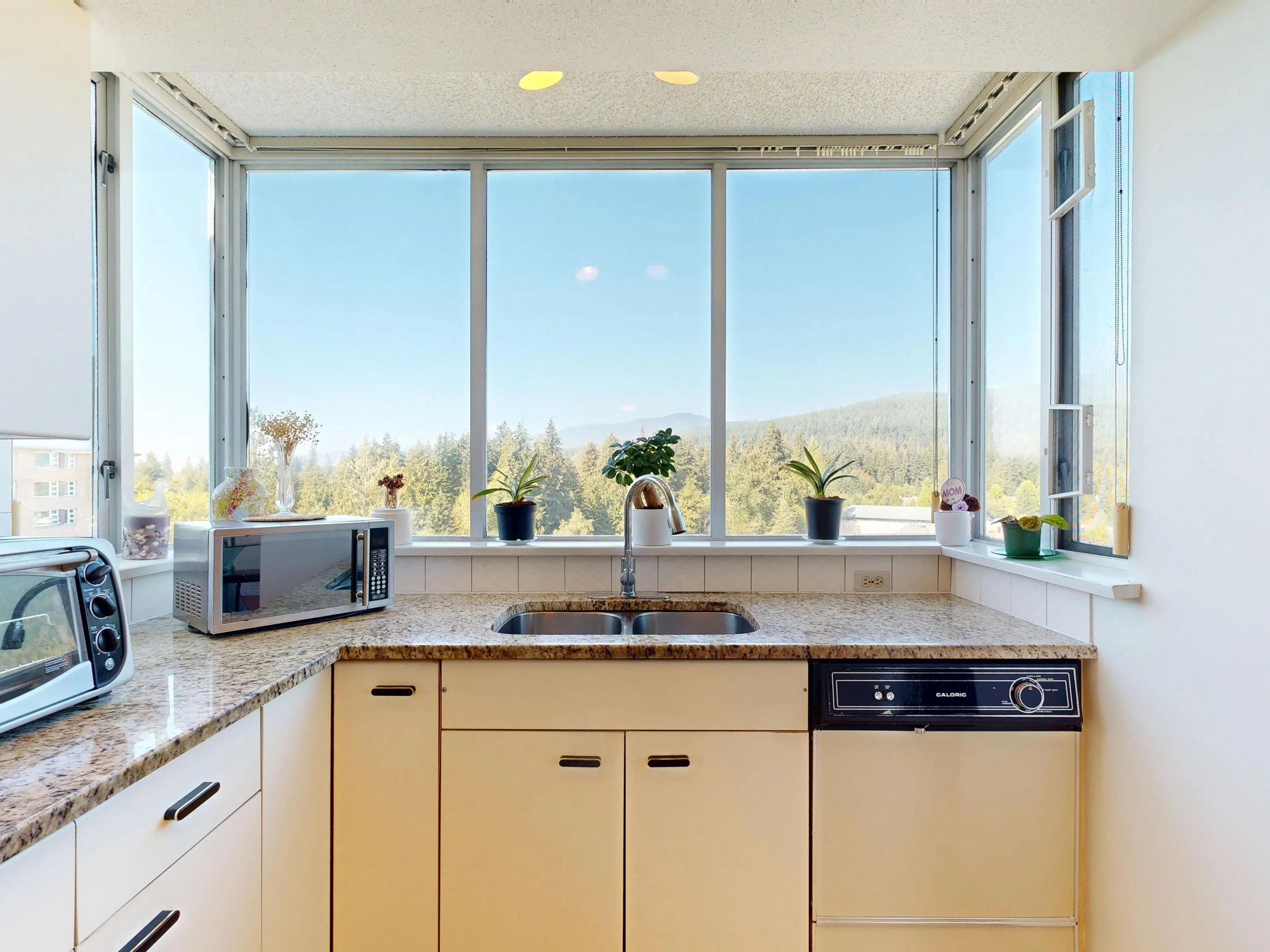 1005 995 Roche Point Drive