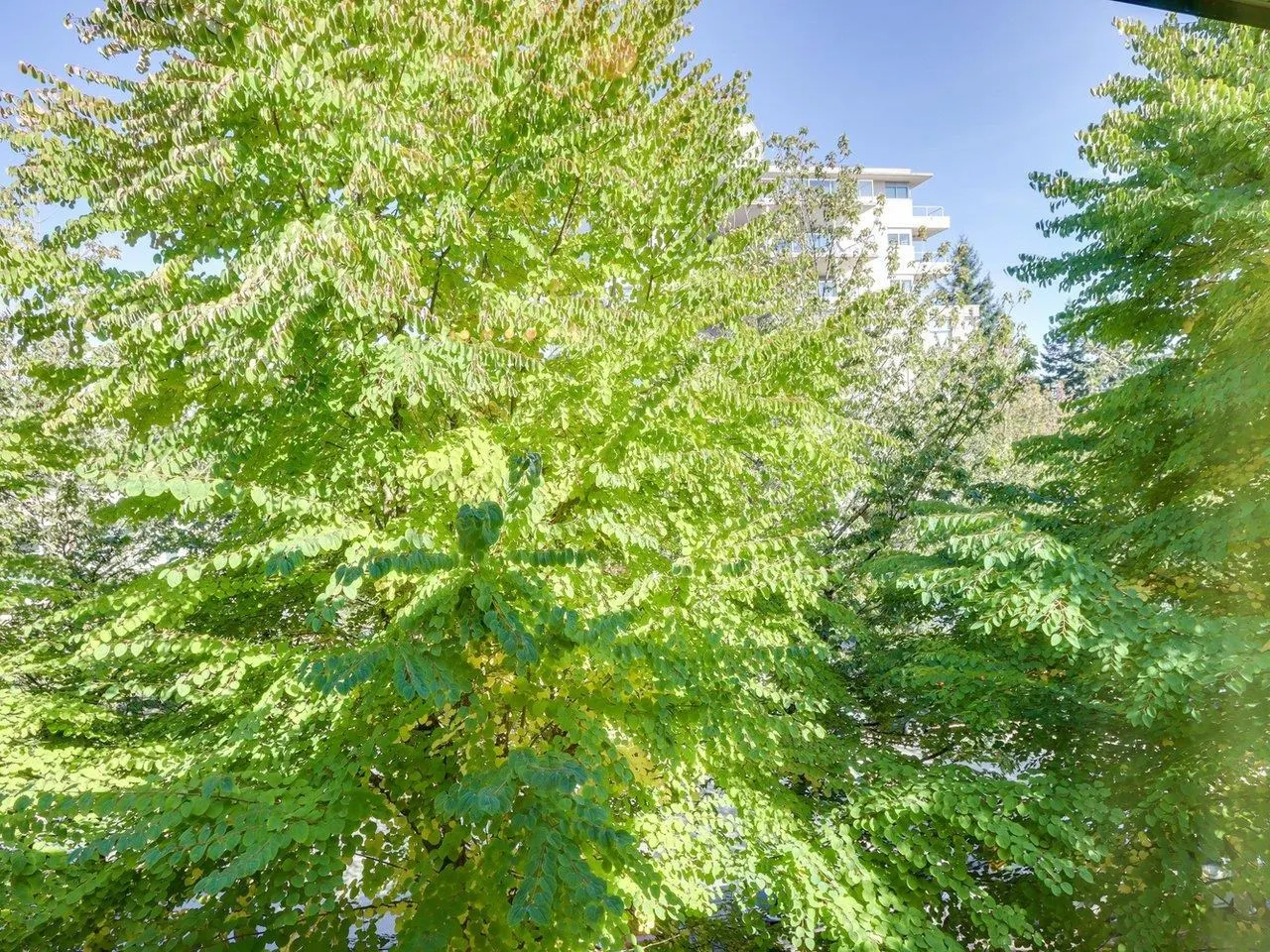 114 9229 University Crescent