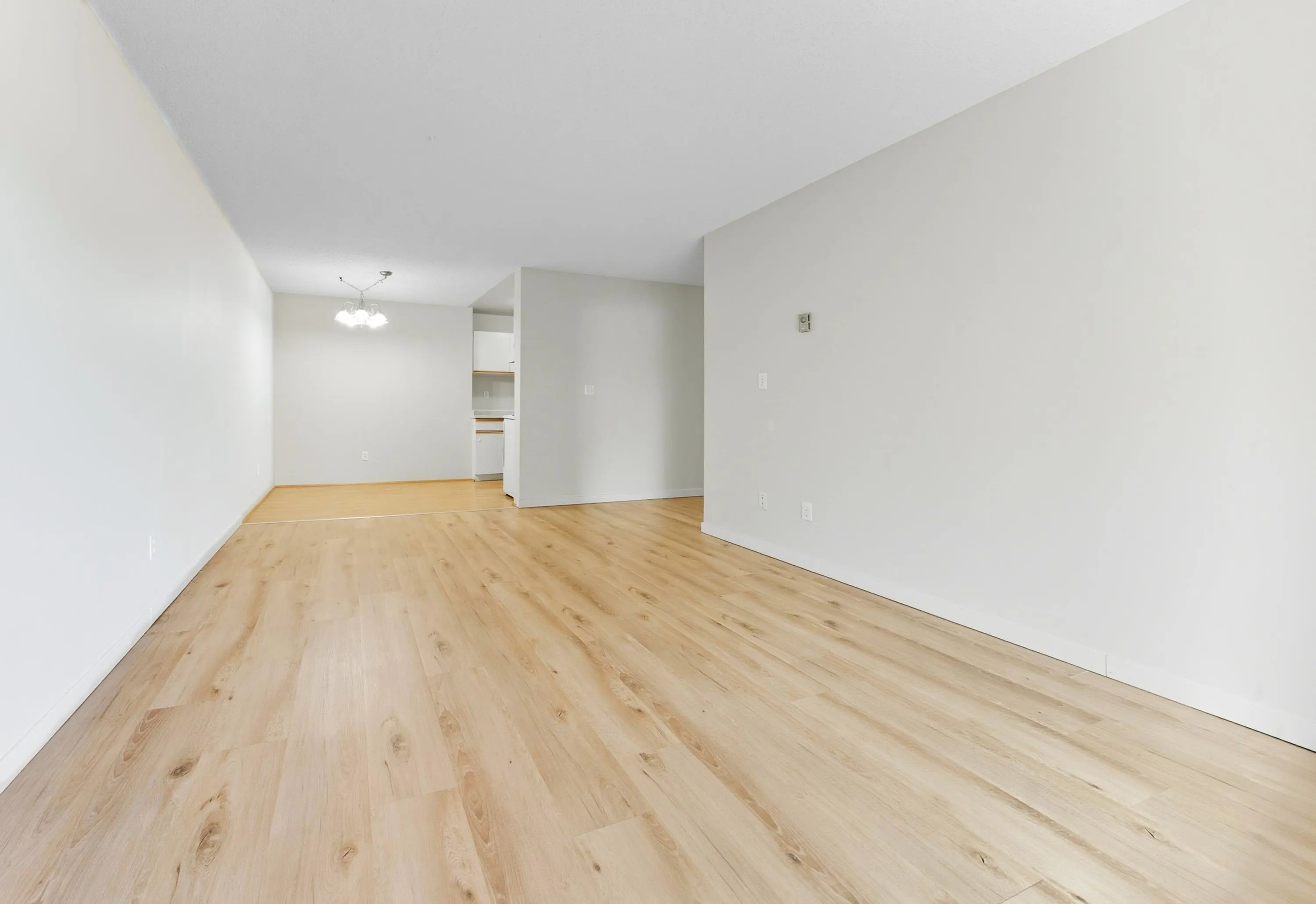 313 8700 Ackroyd Road