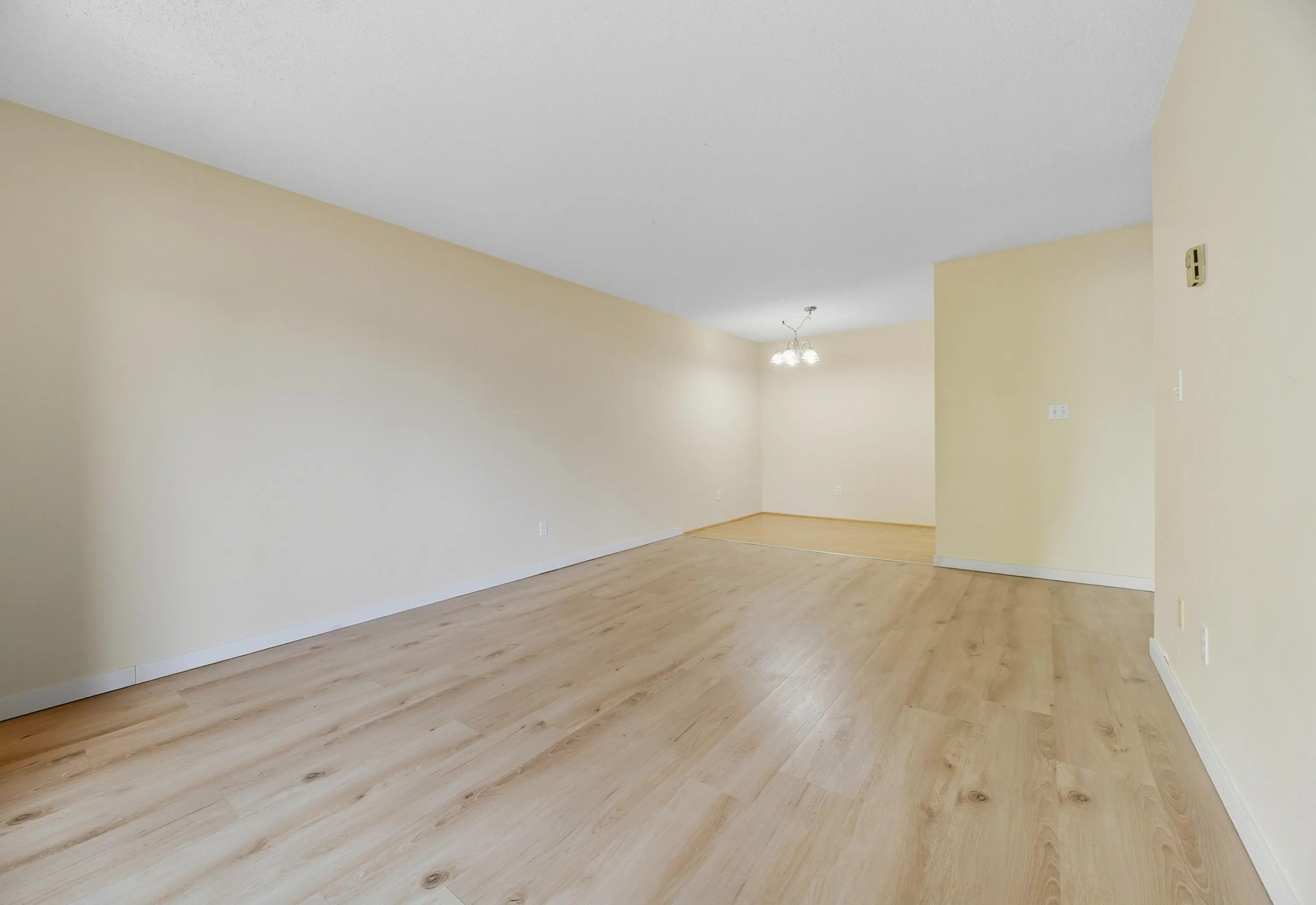 313 8700 Ackroyd Road