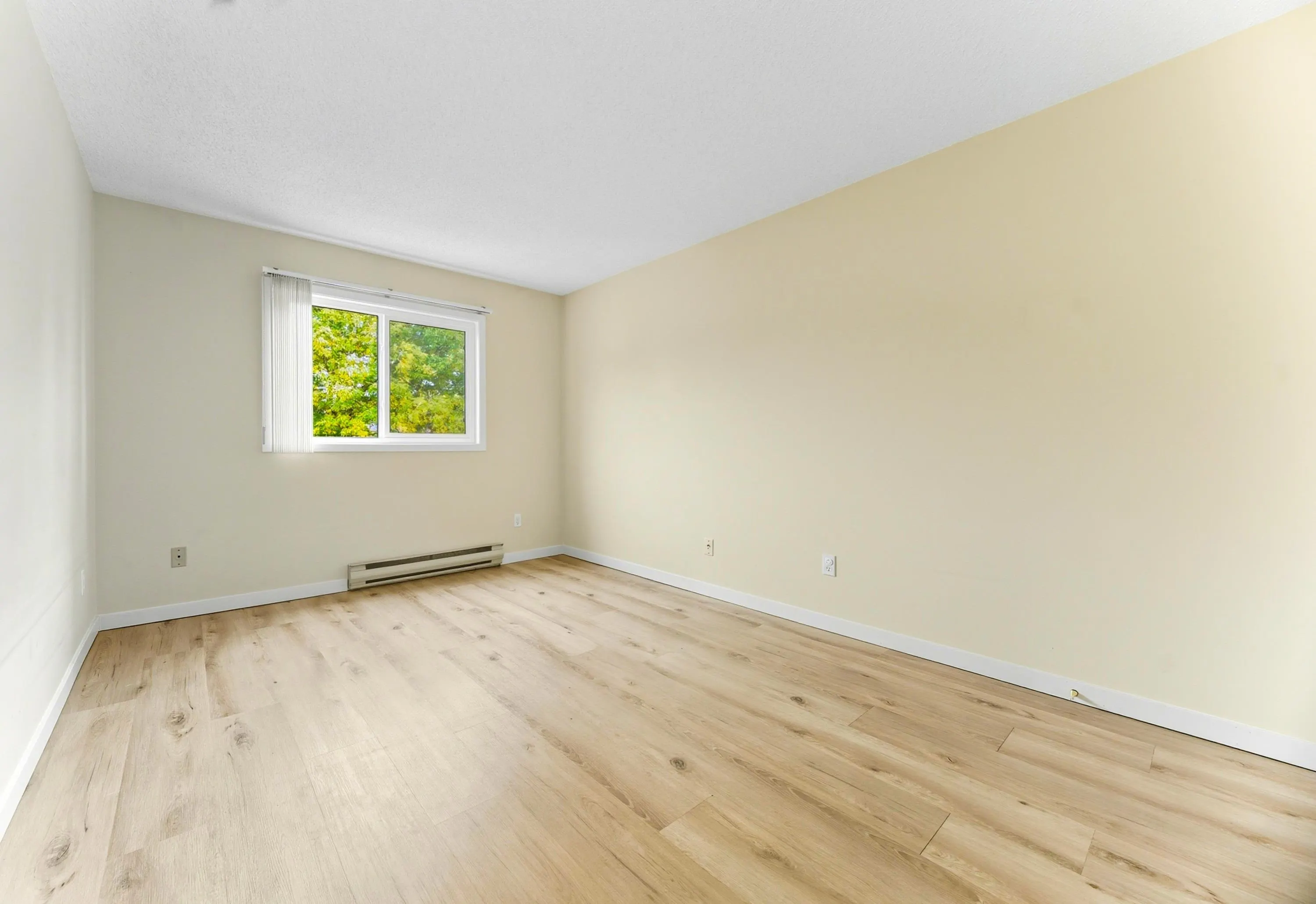313 8700 Ackroyd Road