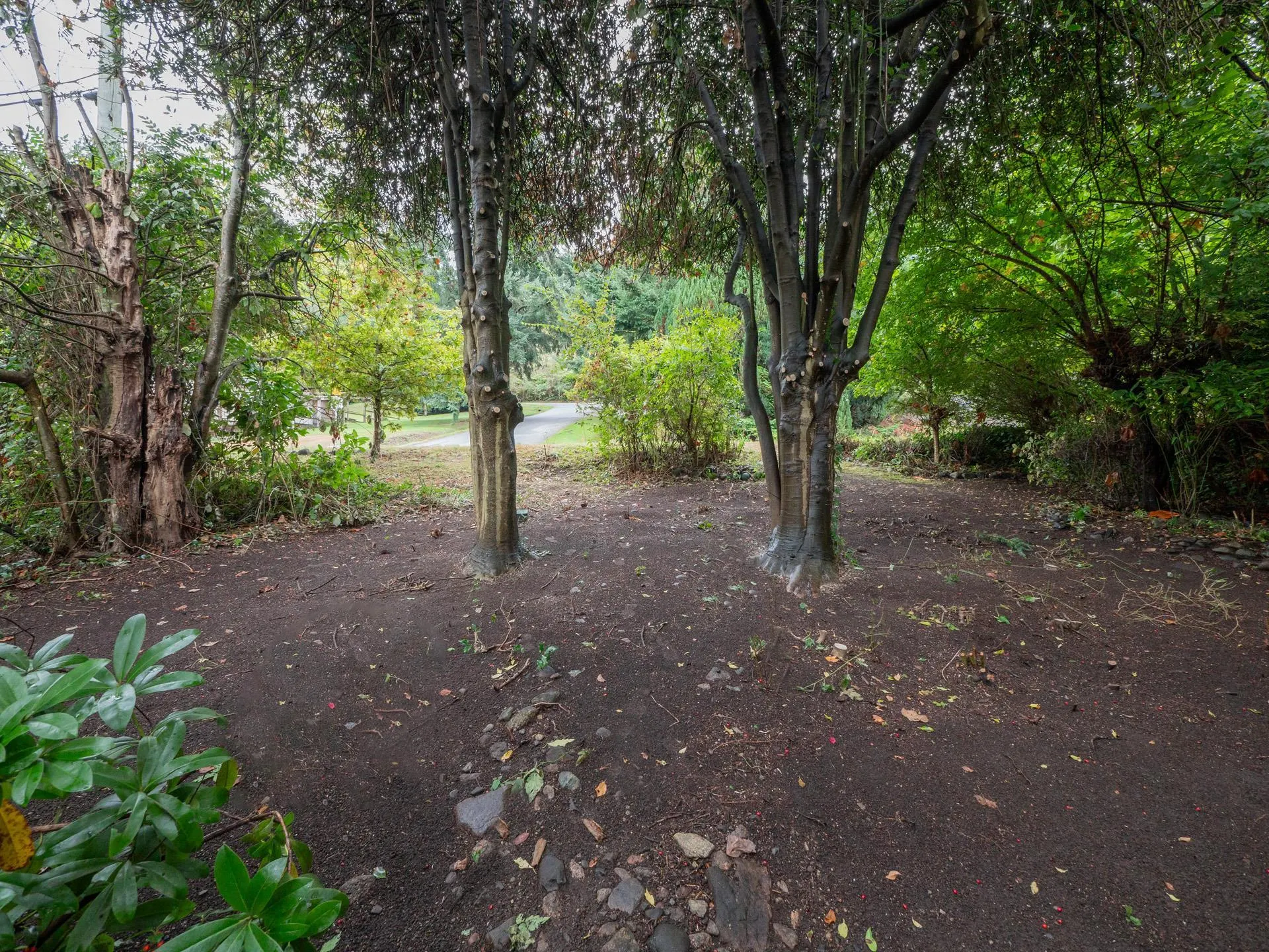 327 Headlands Road