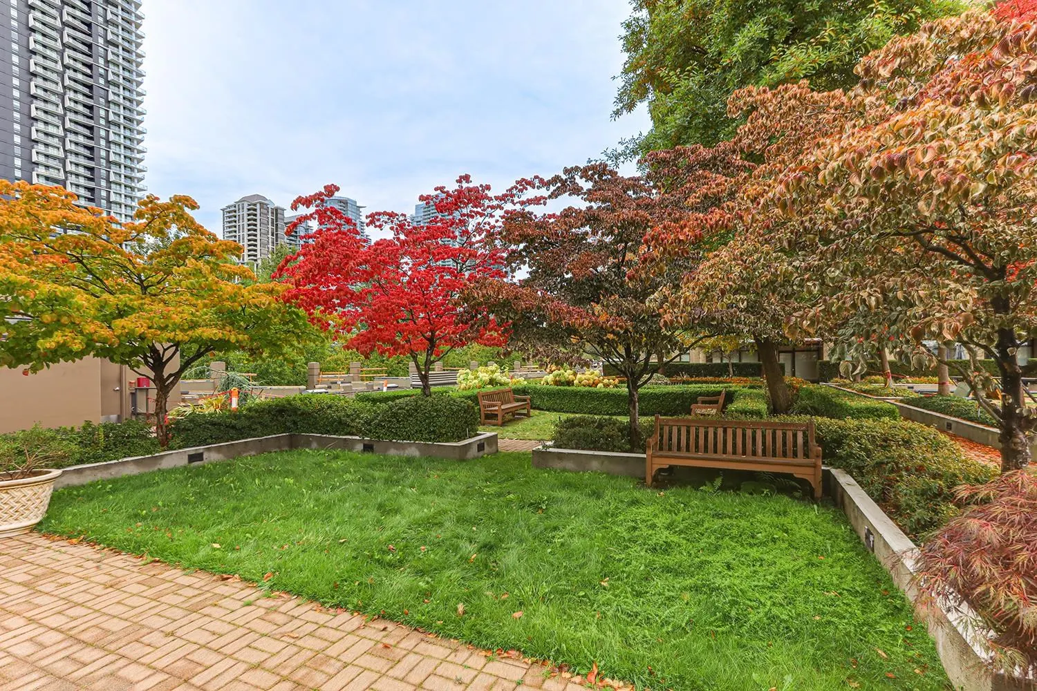 3002 2355 Madison Avenue
