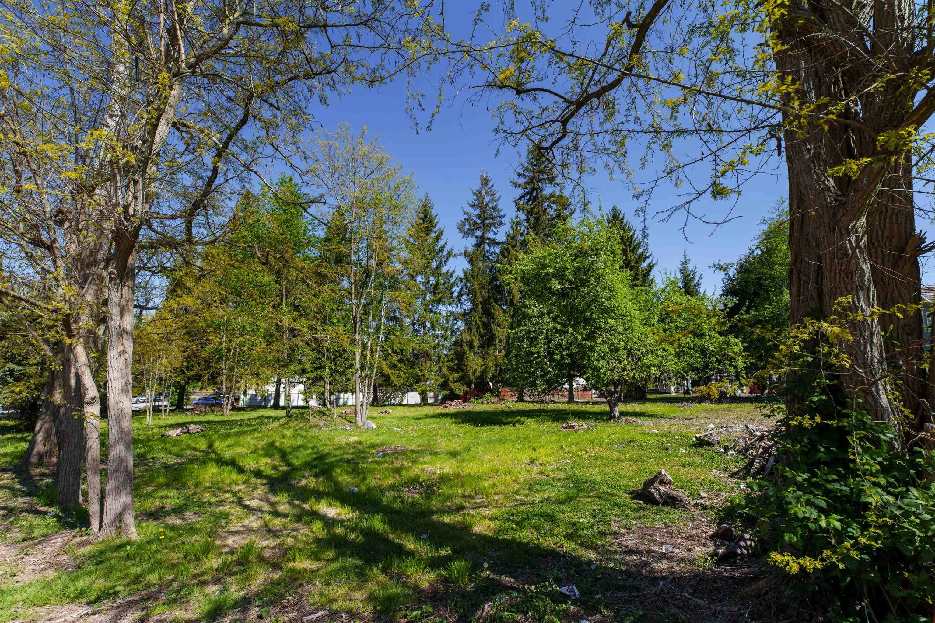 13003 Old Yale Road