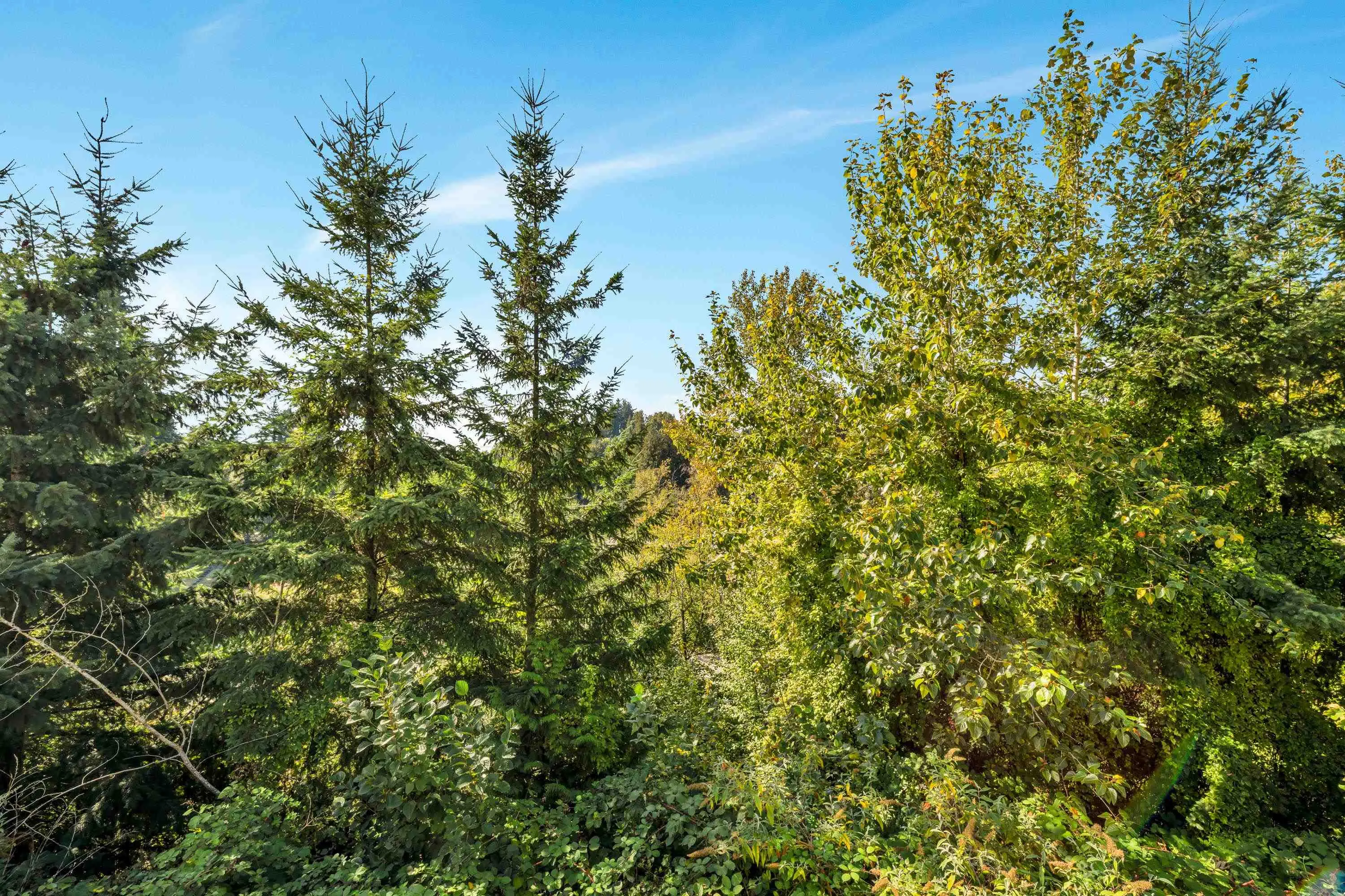 38 35287 Old Yale Road
