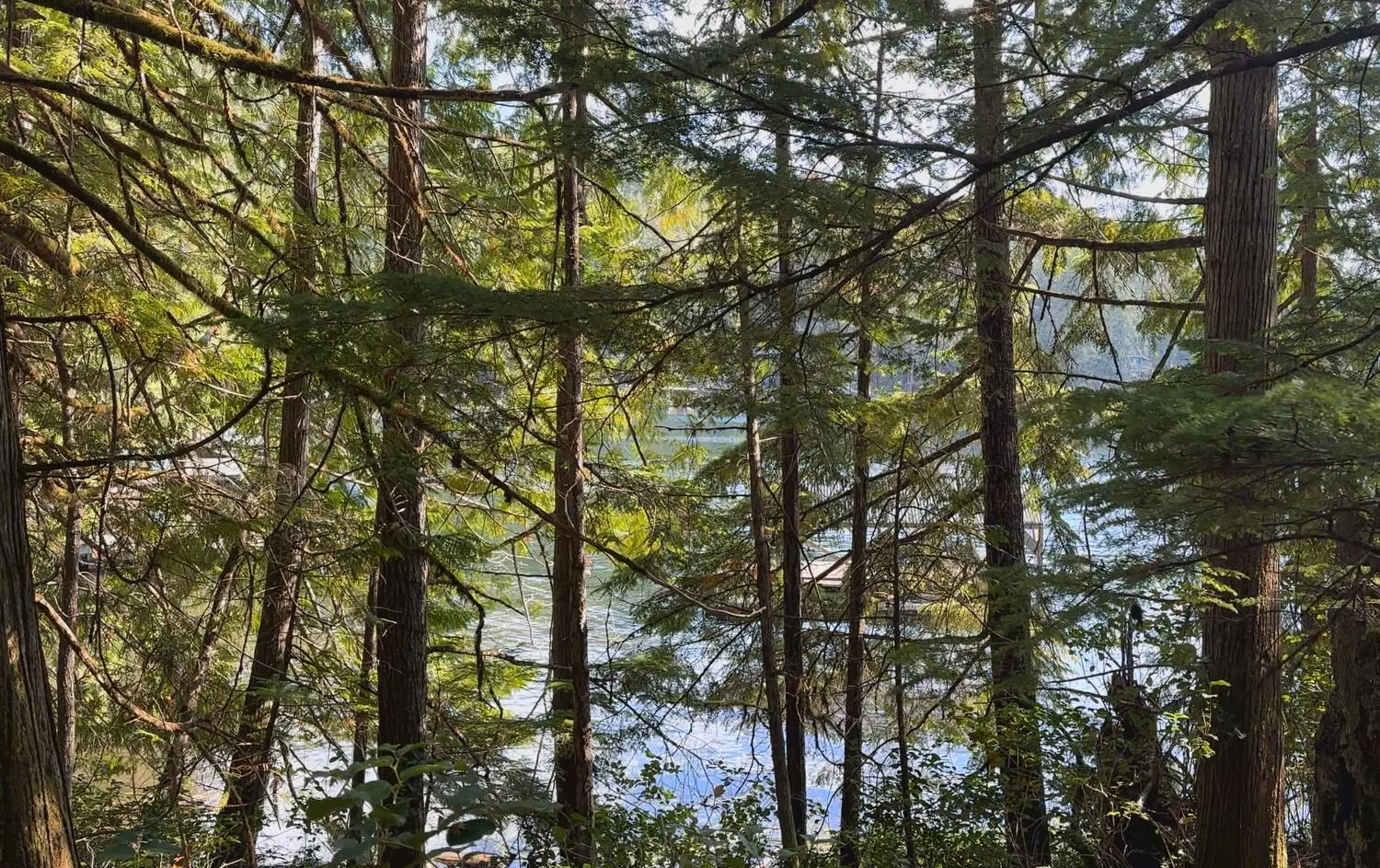 Lot 20 Sakinaw Lake