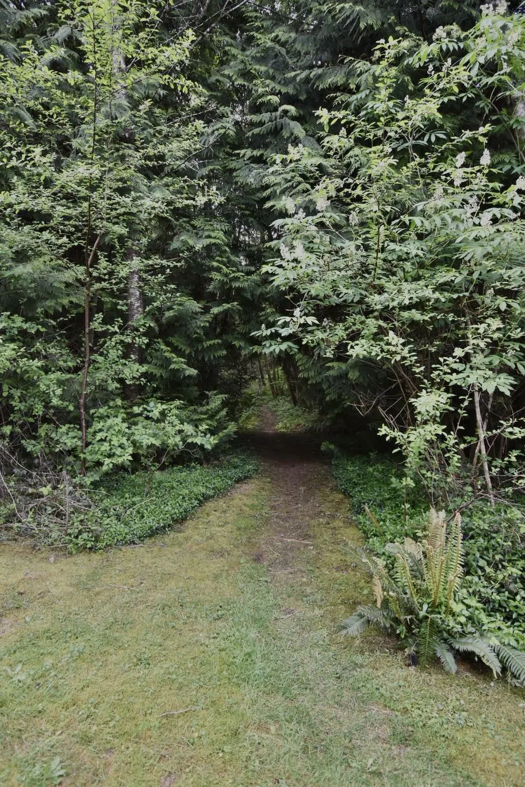1499 Hanbury Road