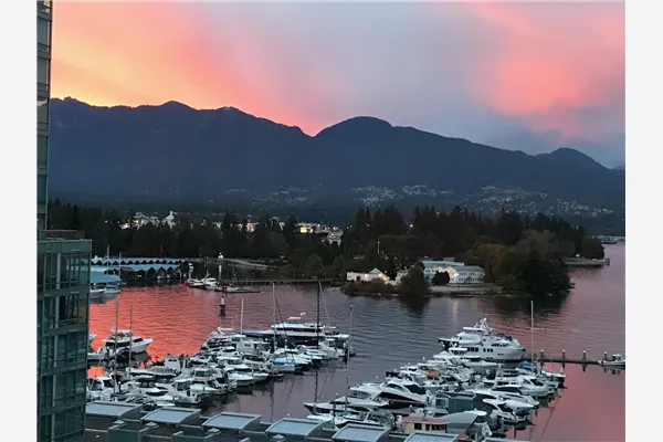 901 1409 W Pender Street