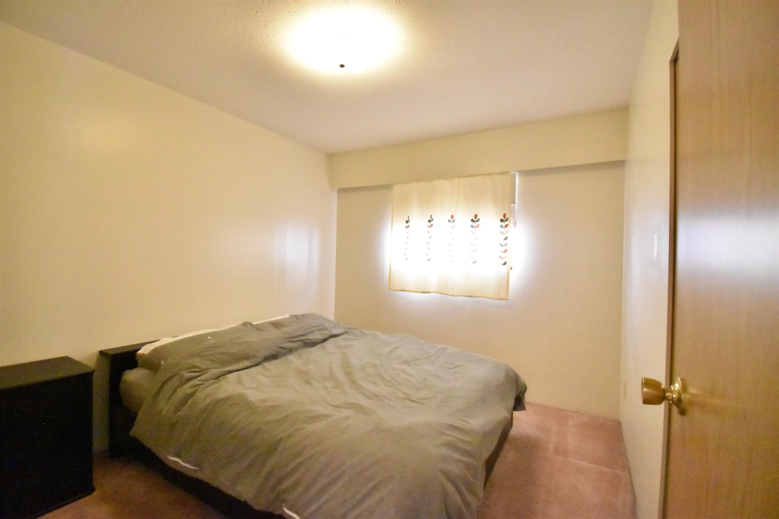 5541 Bruce Street