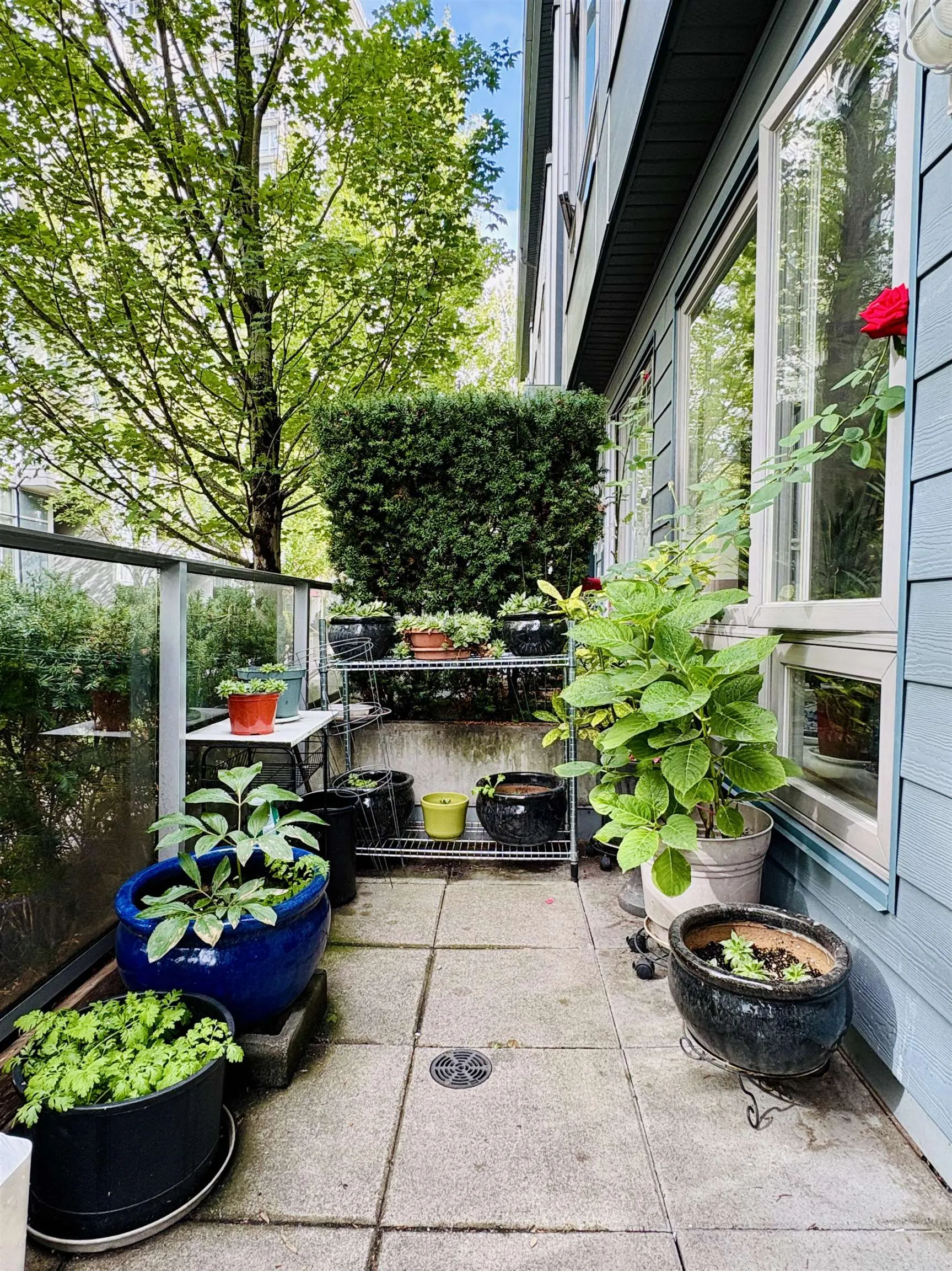 4886 Eldorado Mews