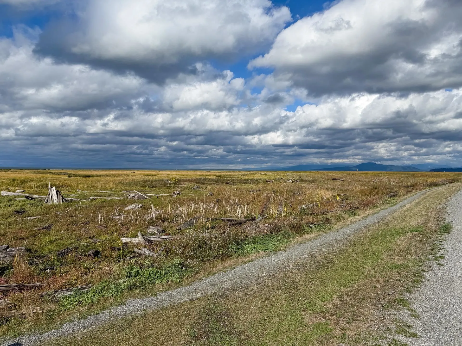 141 3031 Williams Road