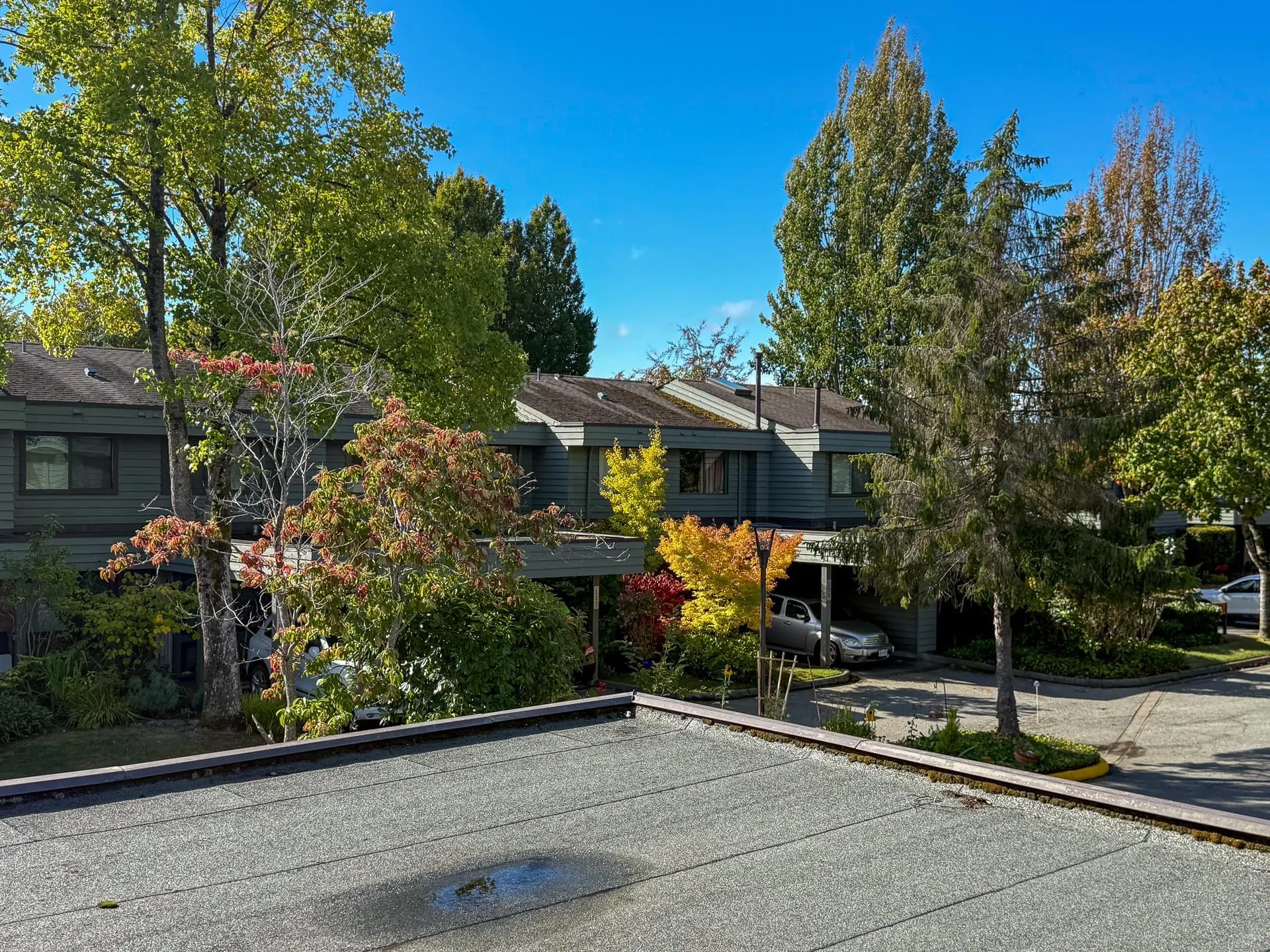 141 3031 Williams Road