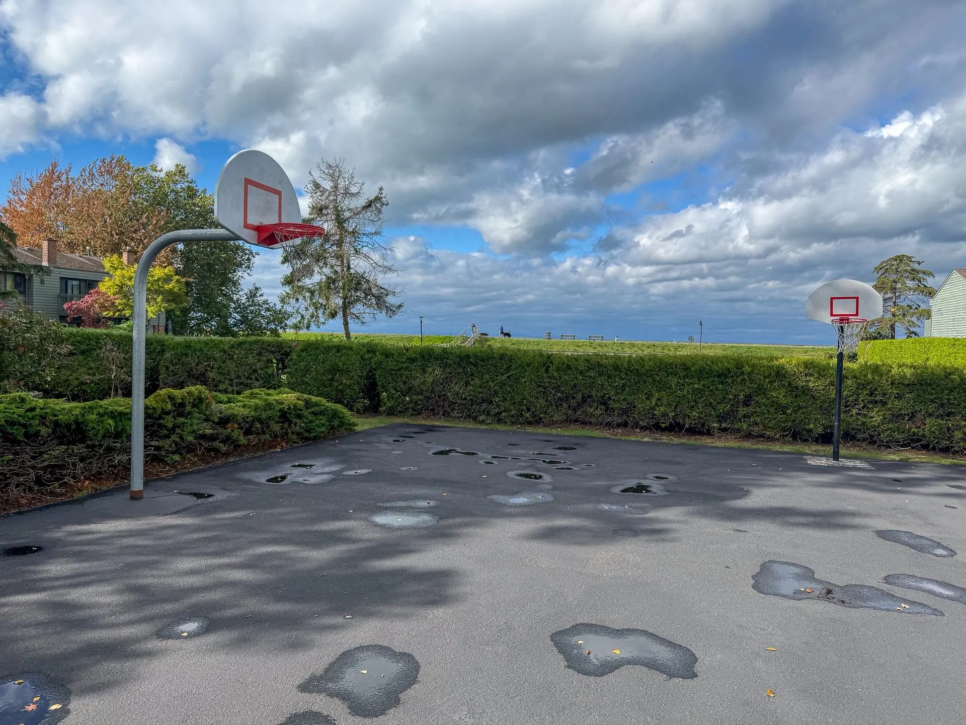 141 3031 Williams Road
