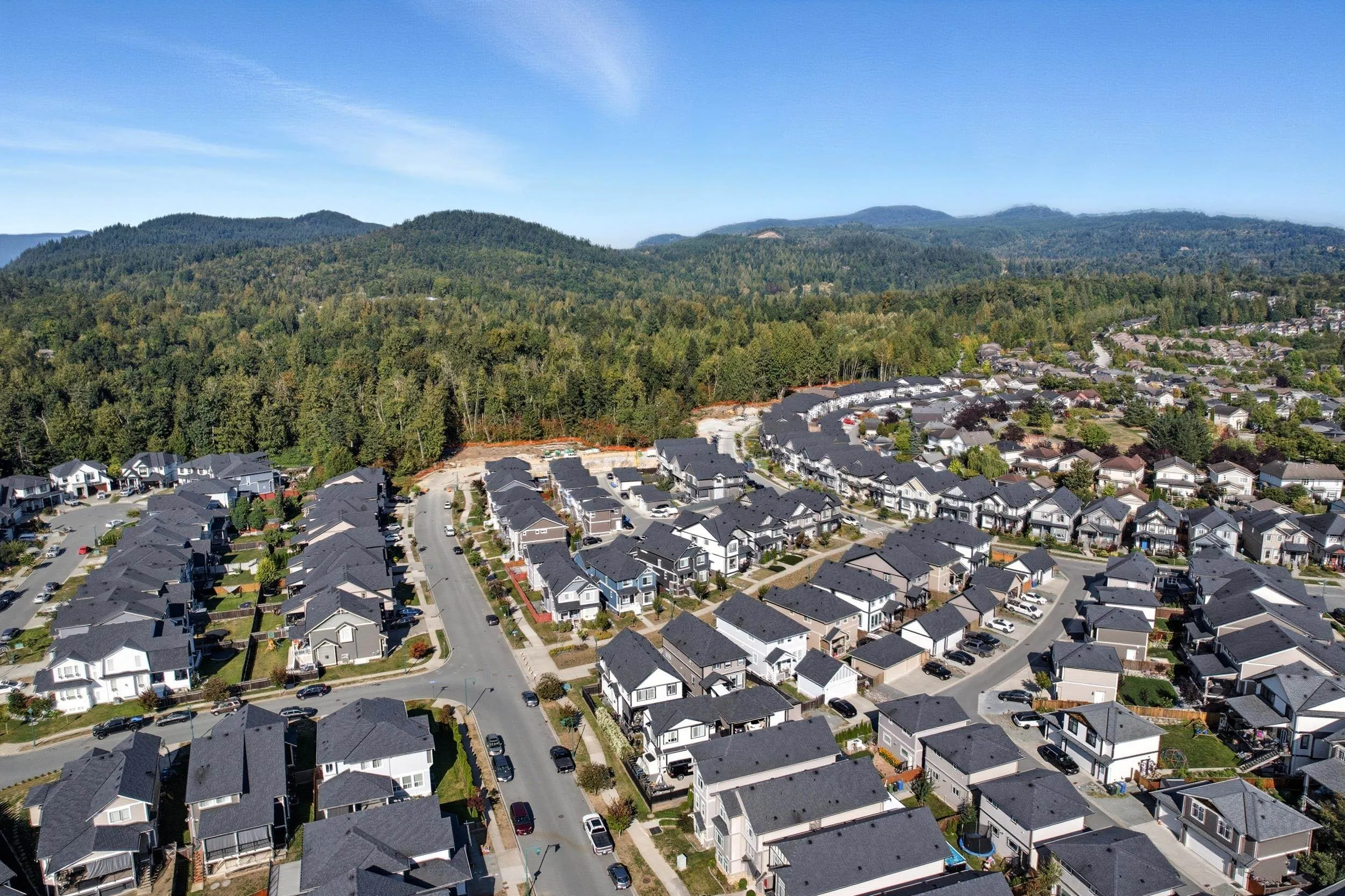 36051 Emily Carr Green