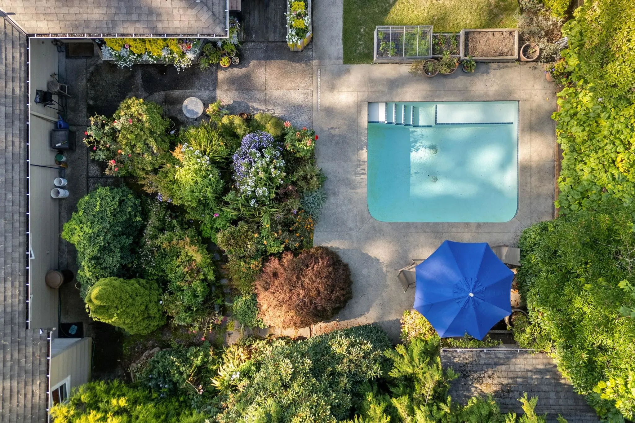 2658 Newmarket Drive