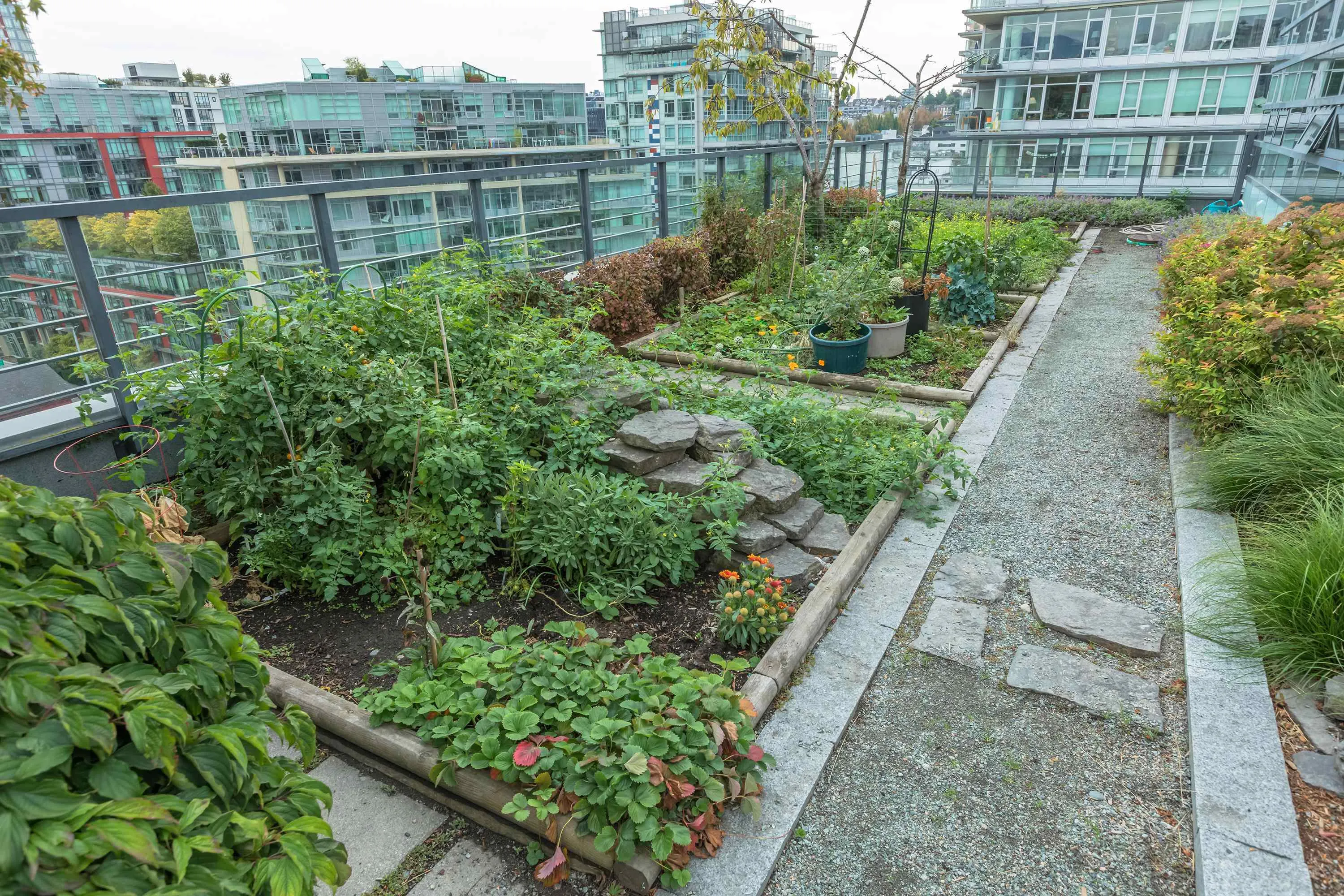 605 123 W 1st Avenue