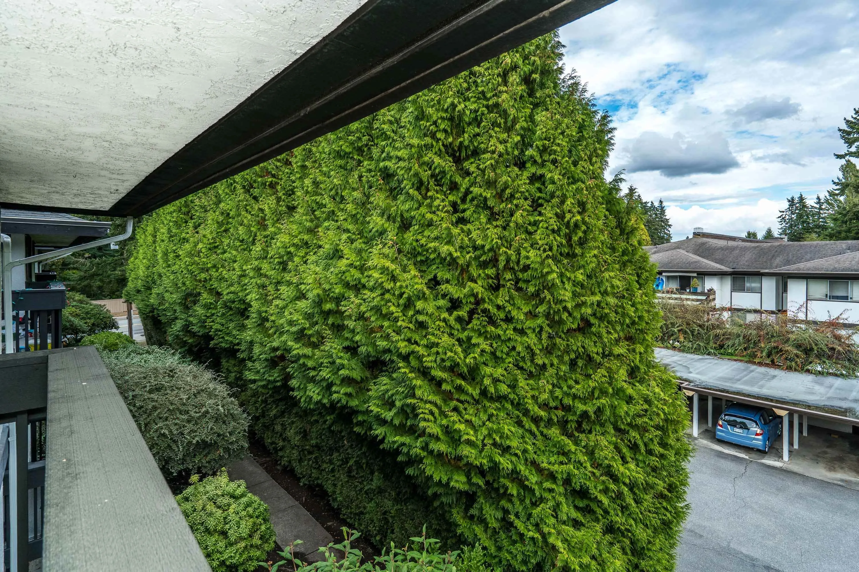 309 1561 Vidal Street