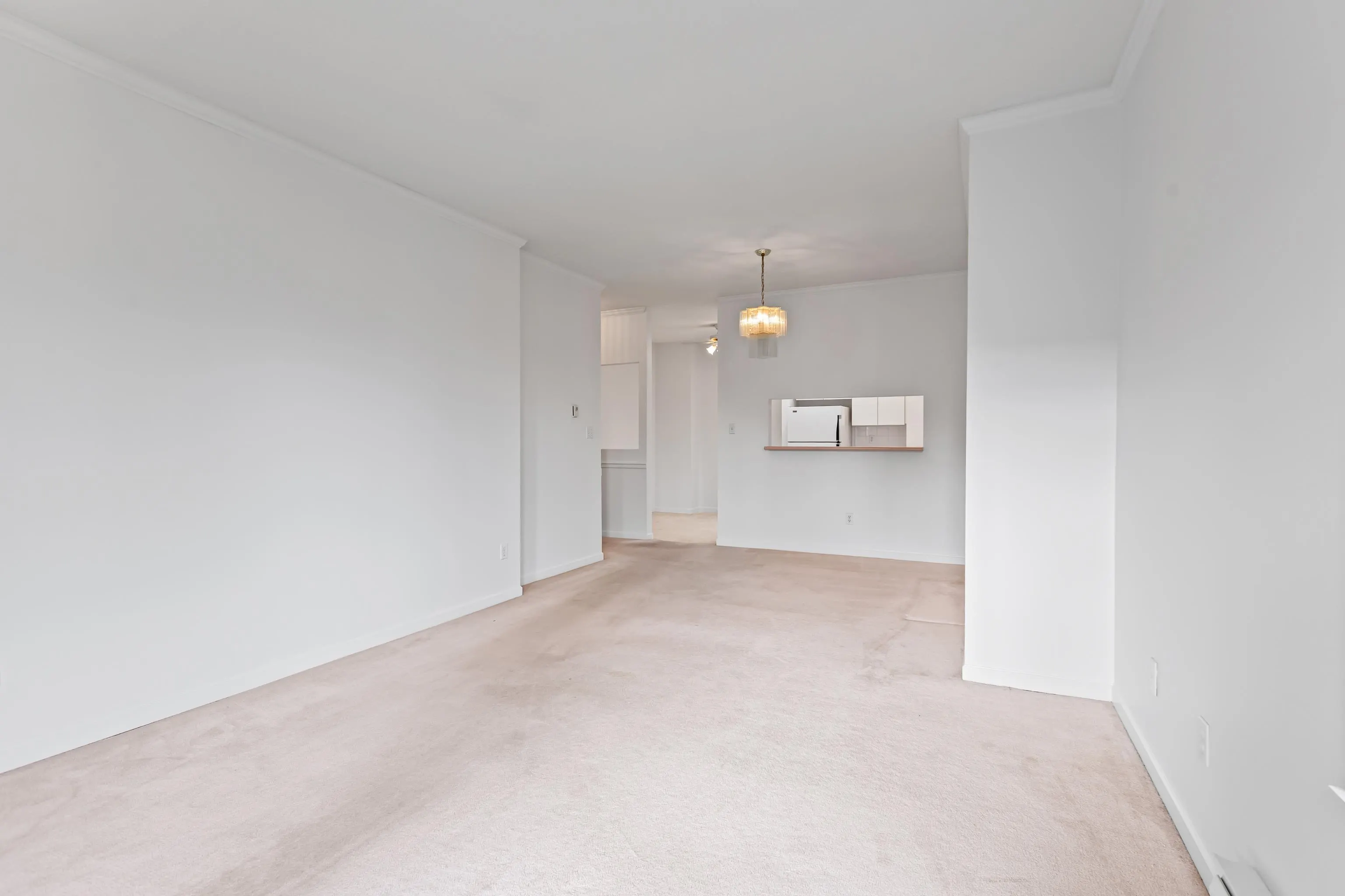 311 1533 Best Street