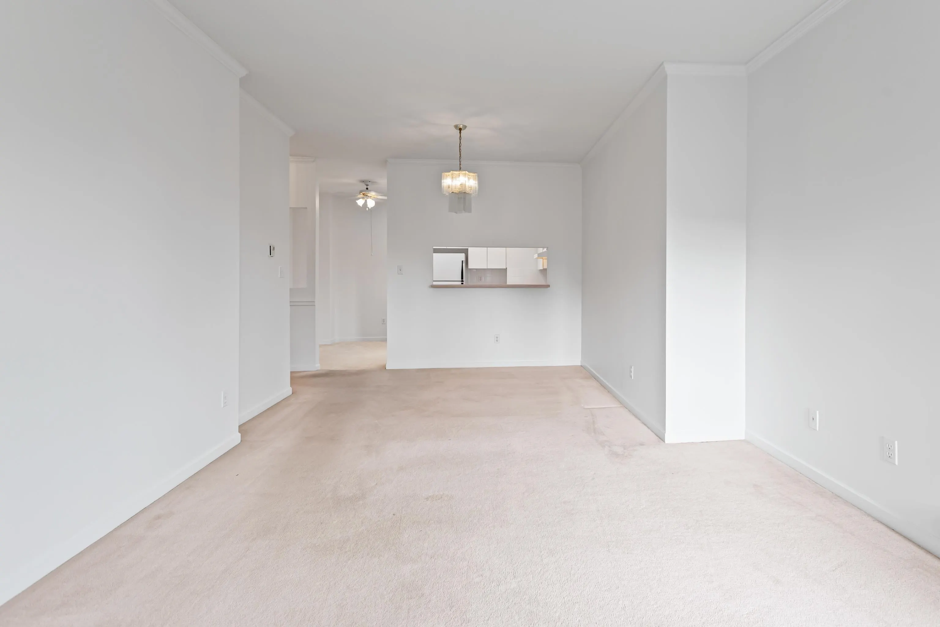 311 1533 Best Street