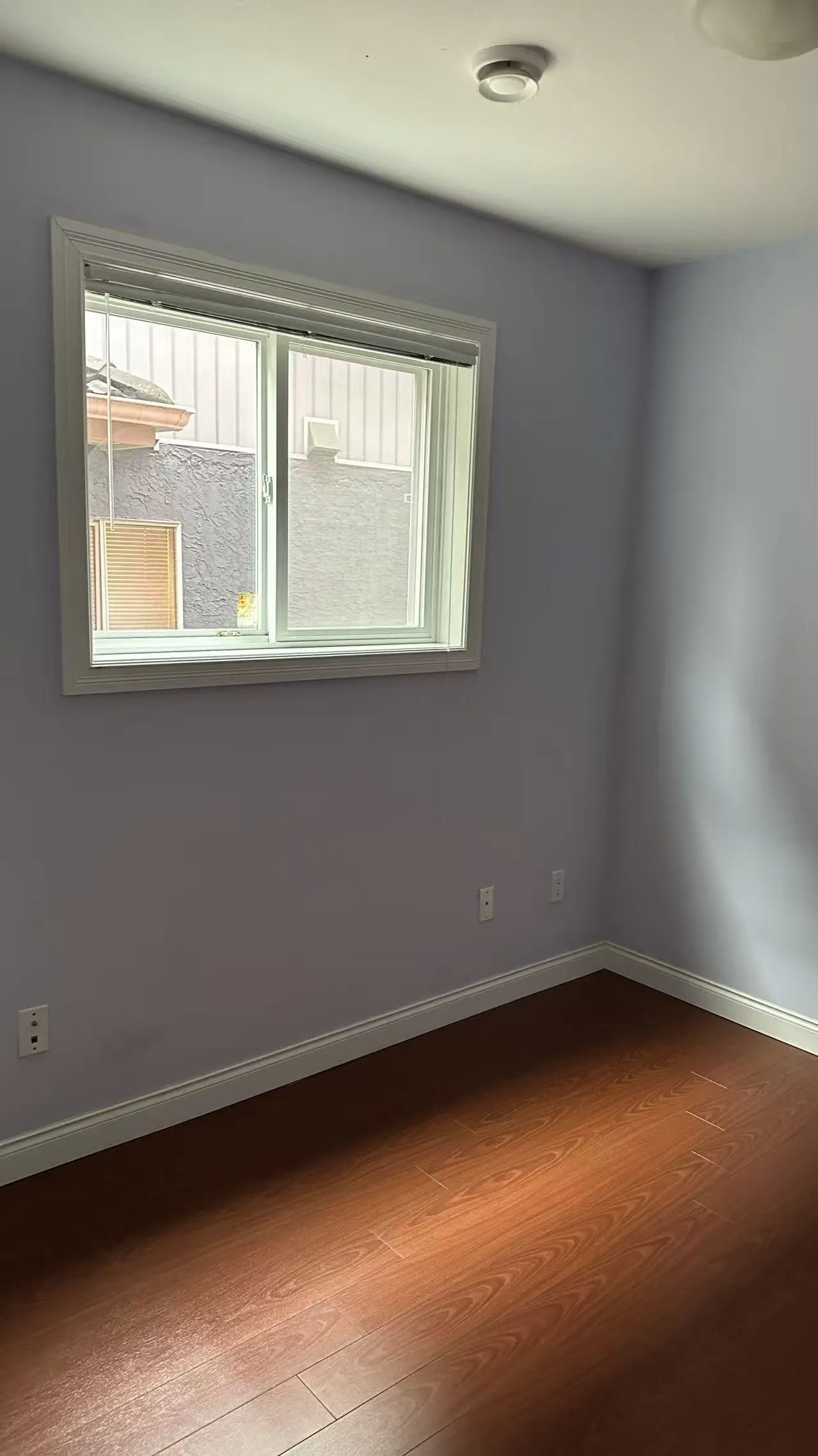 Basement 595* Mckinnon Street