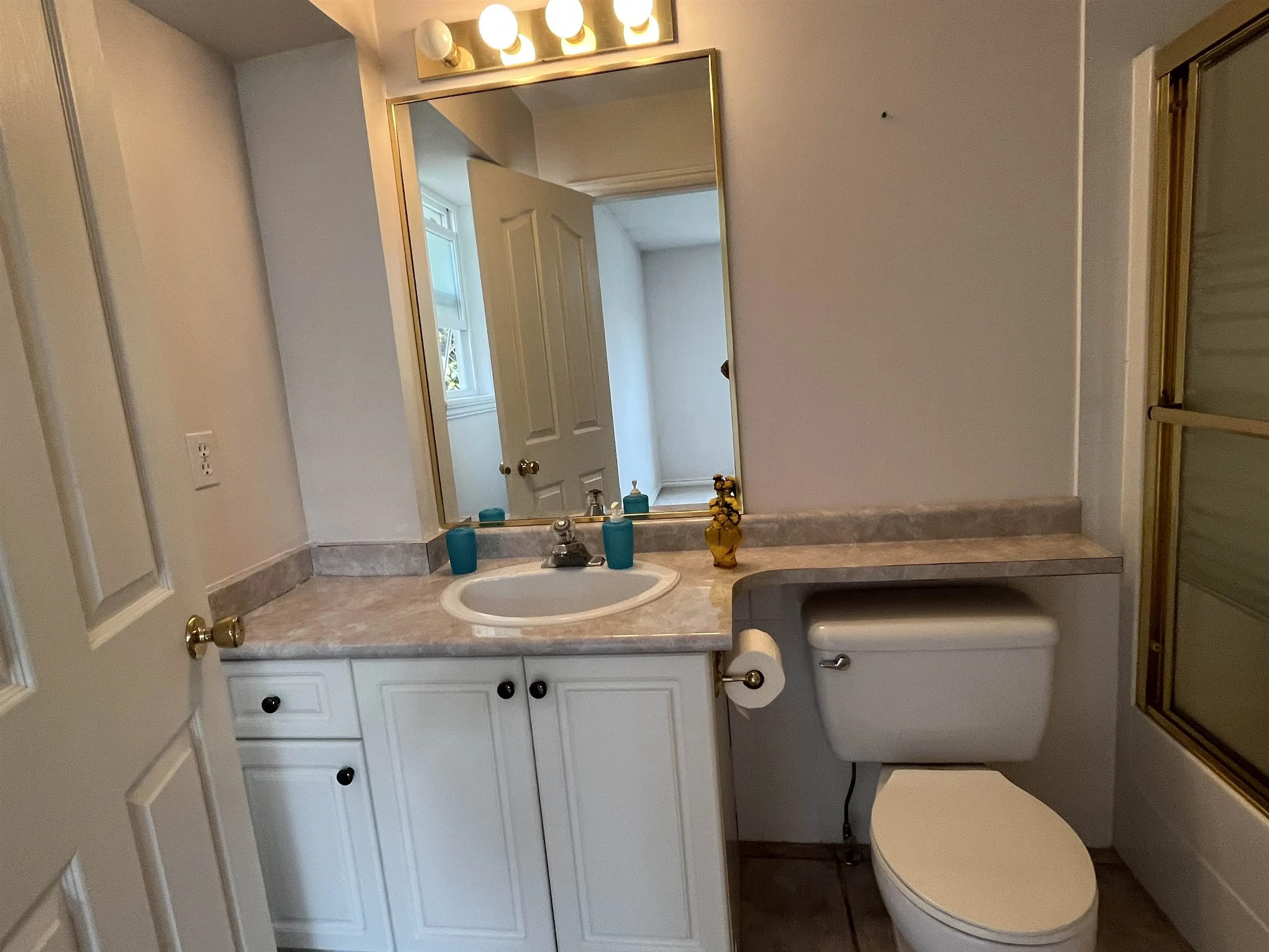 3147 Silverthrone Drive