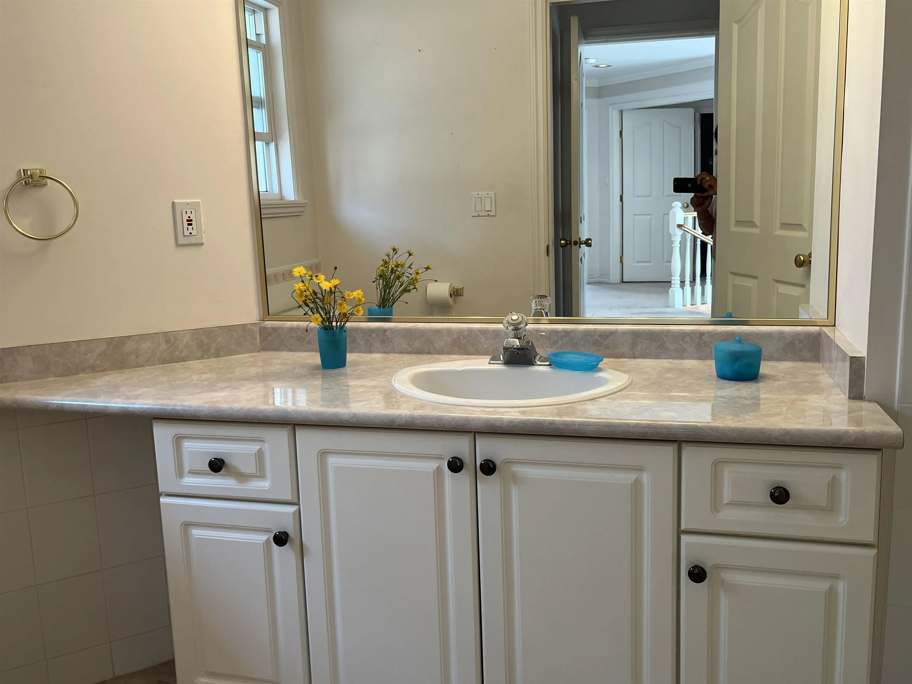 3147 Silverthrone Drive