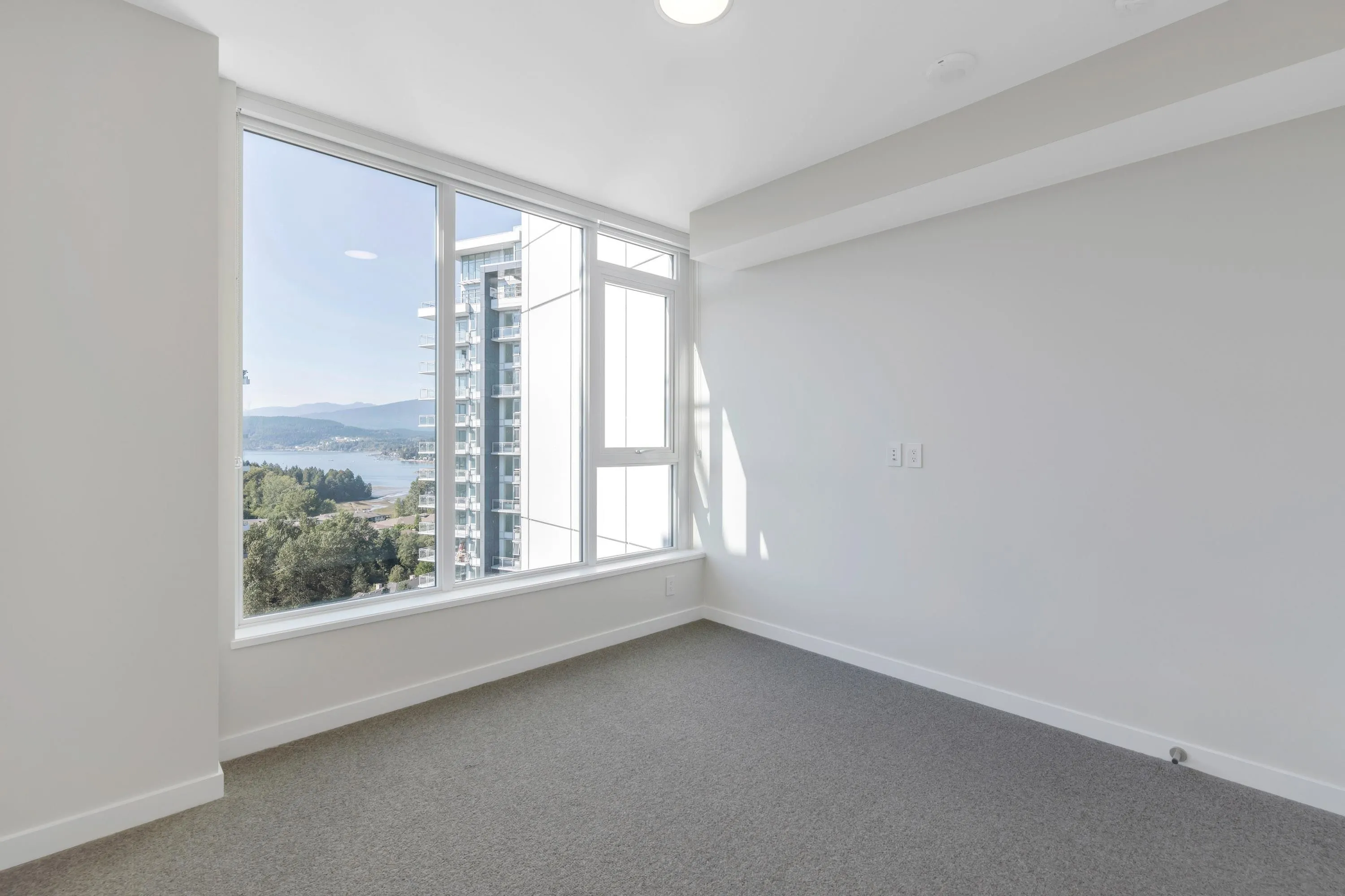 2009 308 Morrissey Road