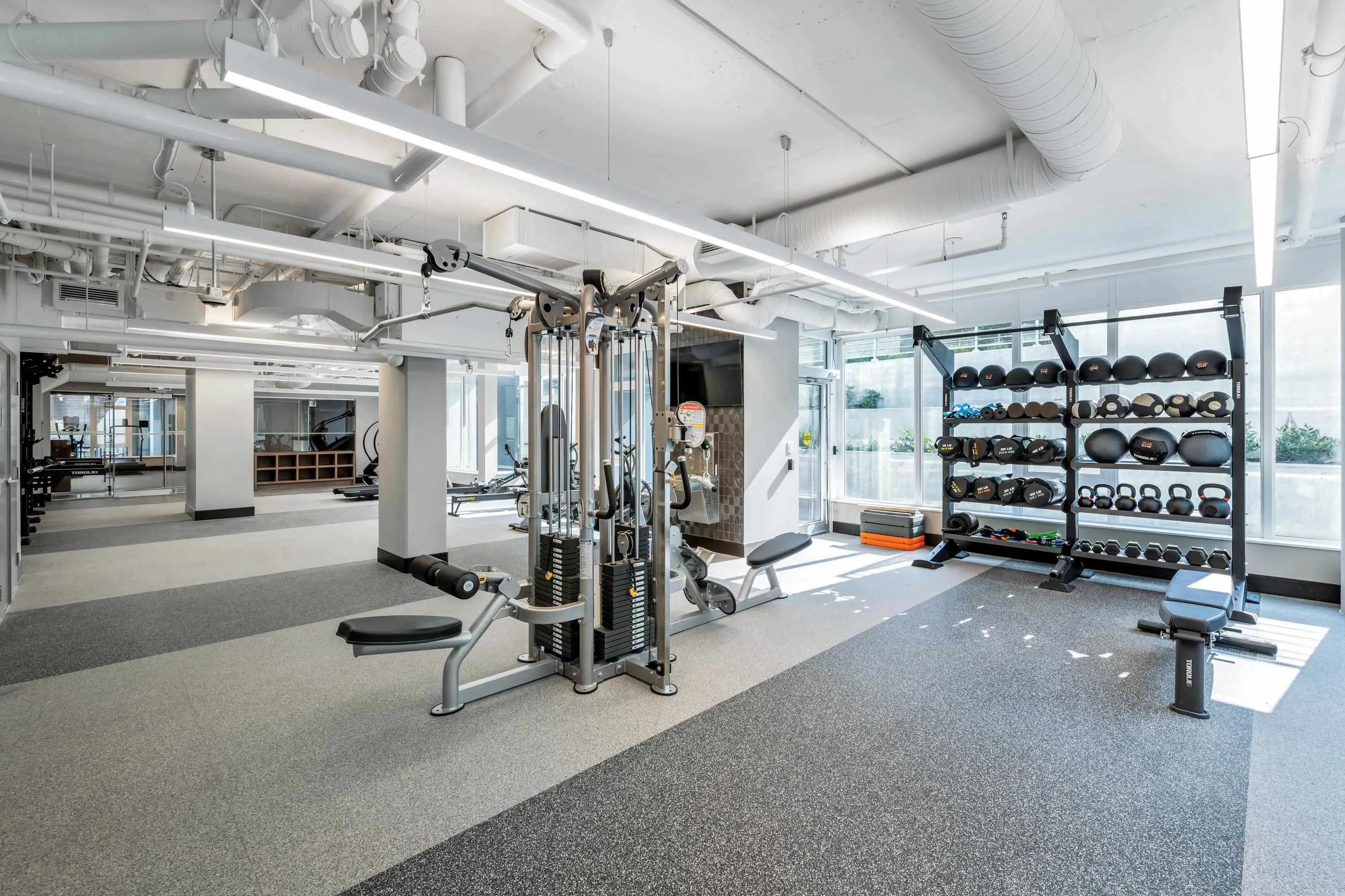 2009 308 Morrissey Road