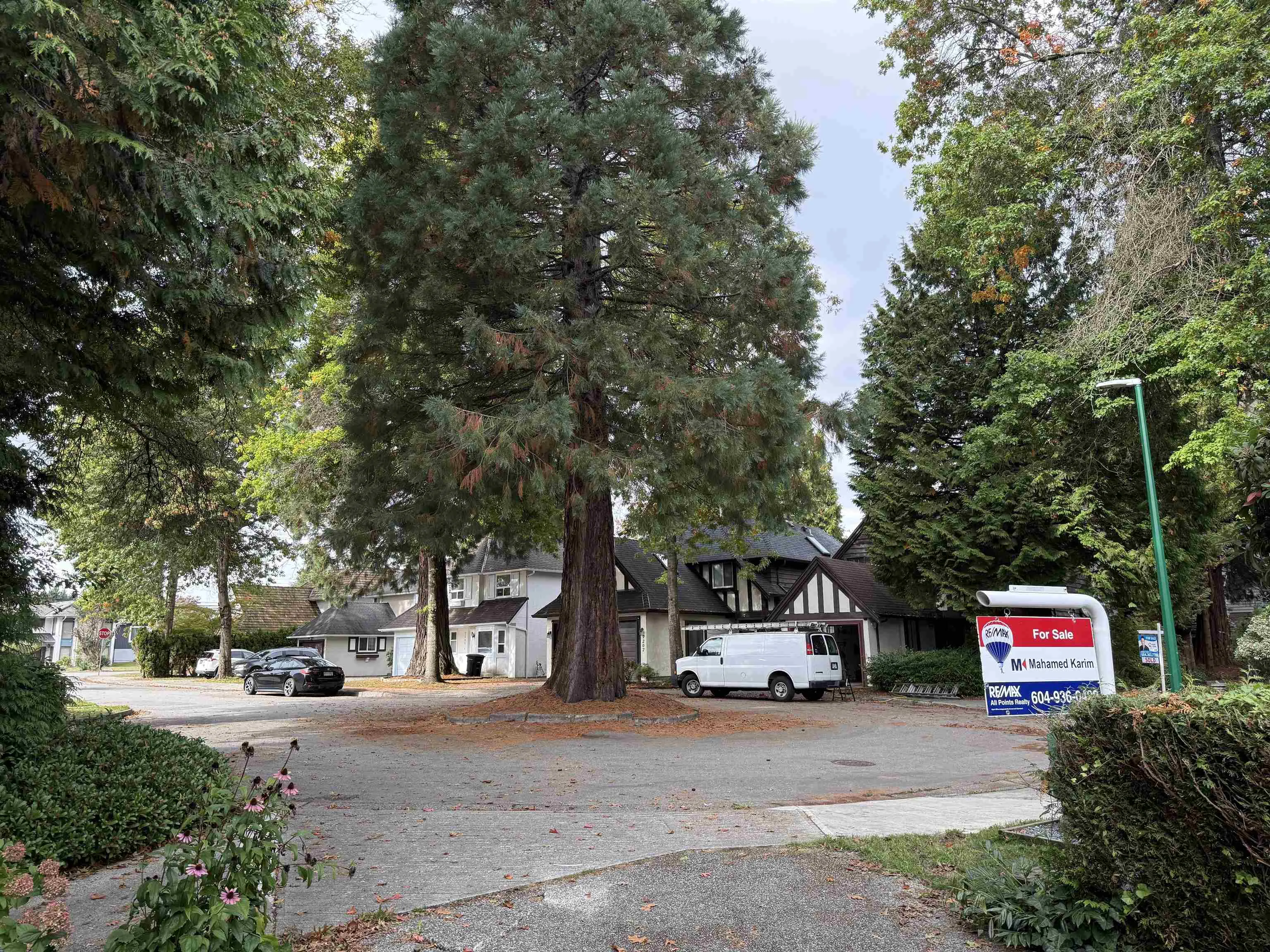 7217 Bridlewood Court