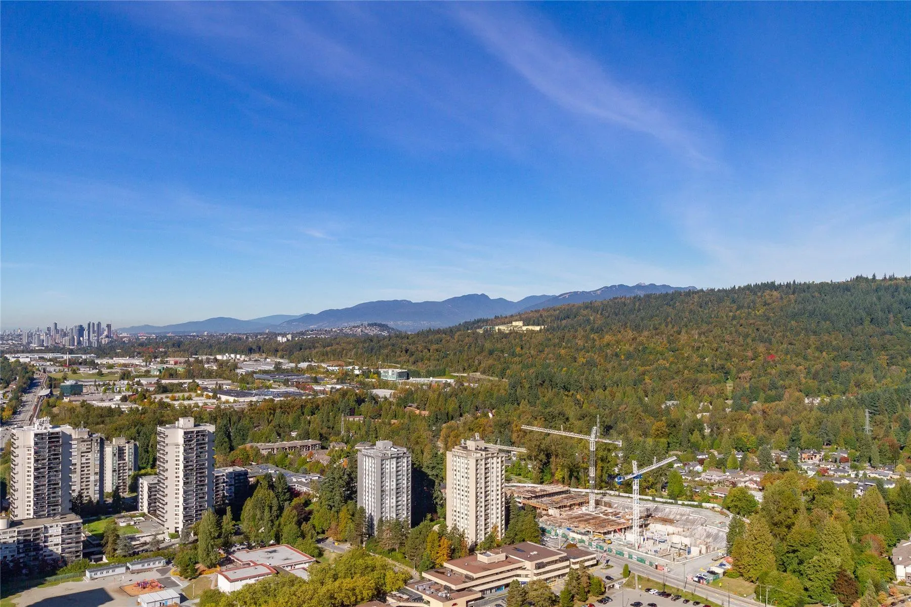 4101 3809 Evergreen Place