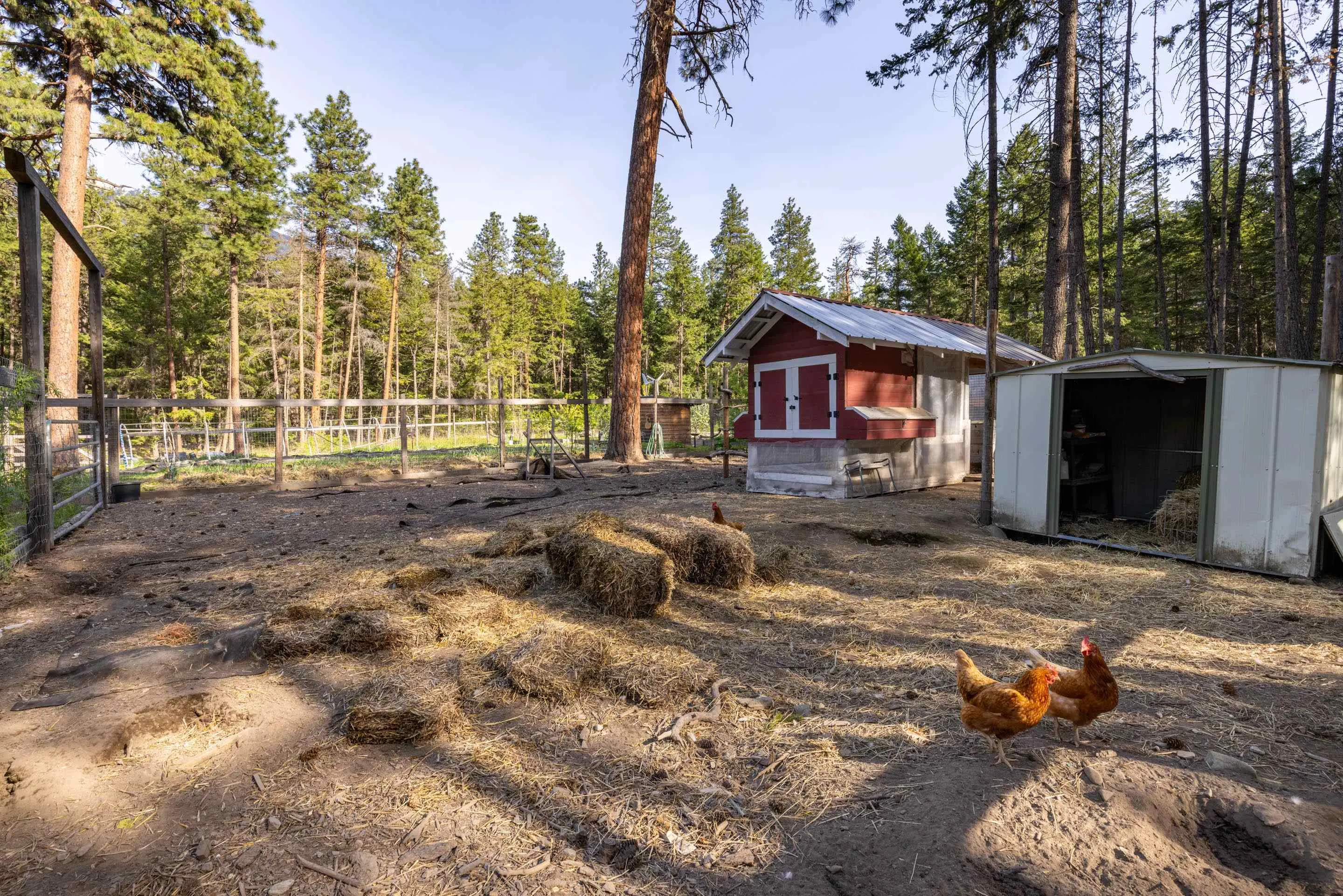 6 9866 Pemberton Portage Road