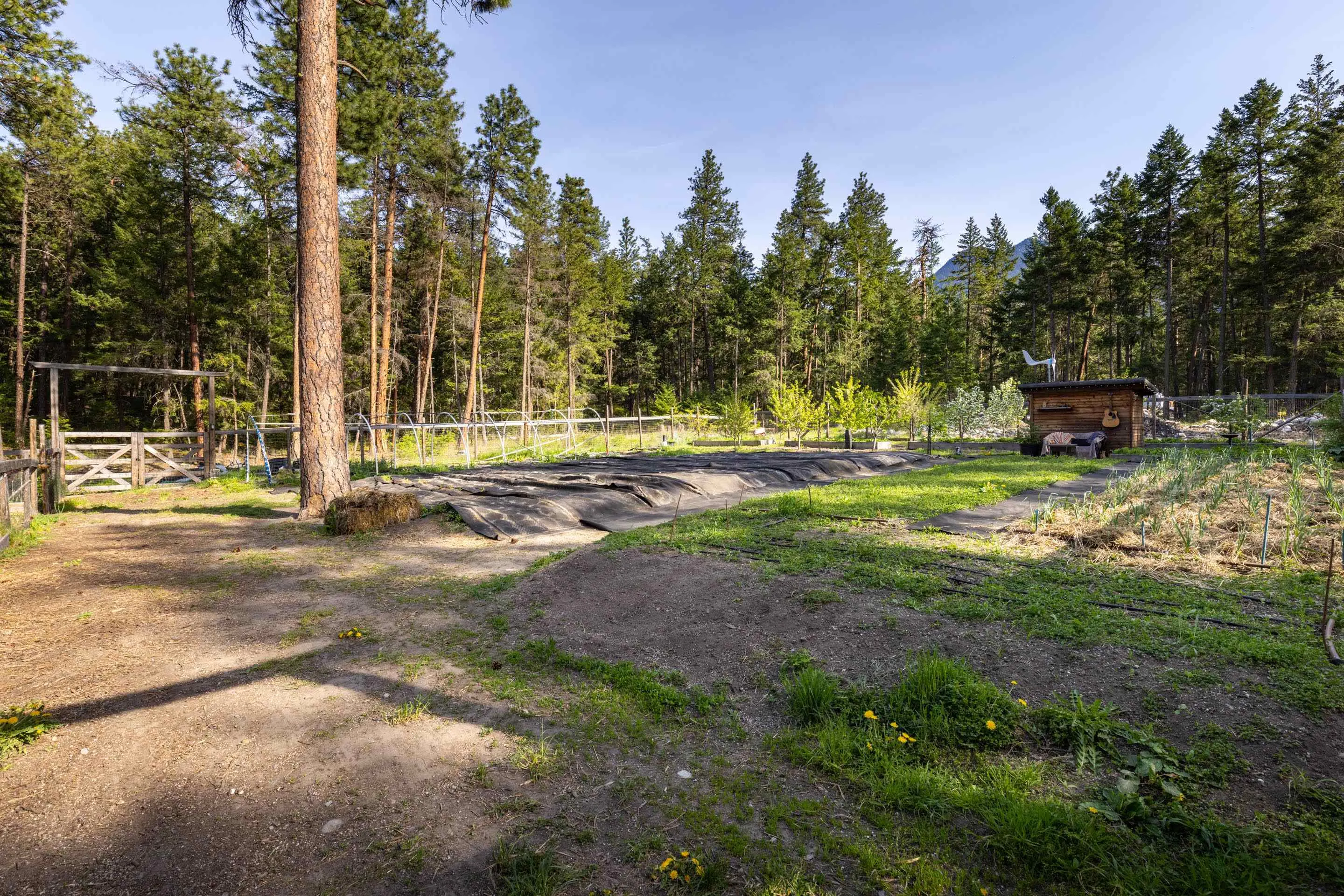 6 9866 Pemberton Portage Road