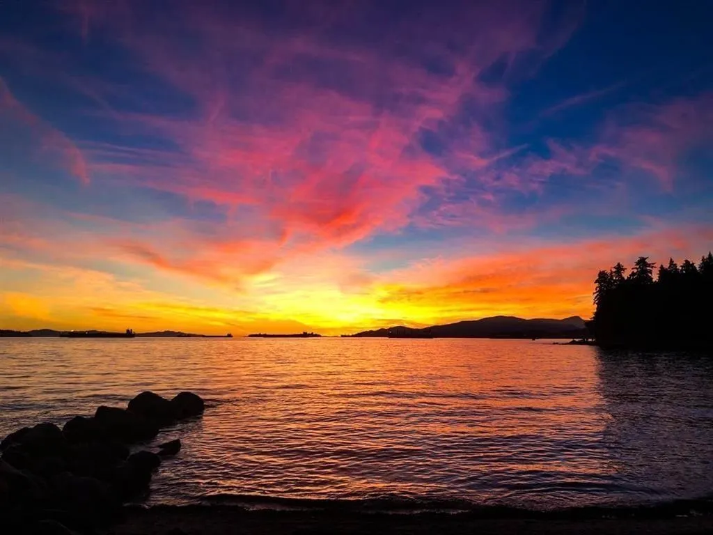 503 1995 Beach Avenue