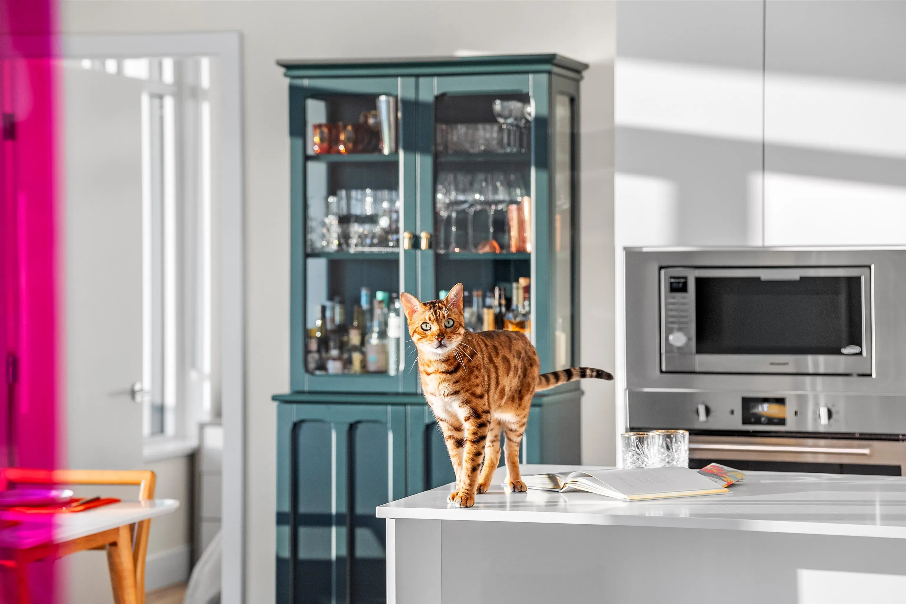 3102 10428 Whalley Boulevard