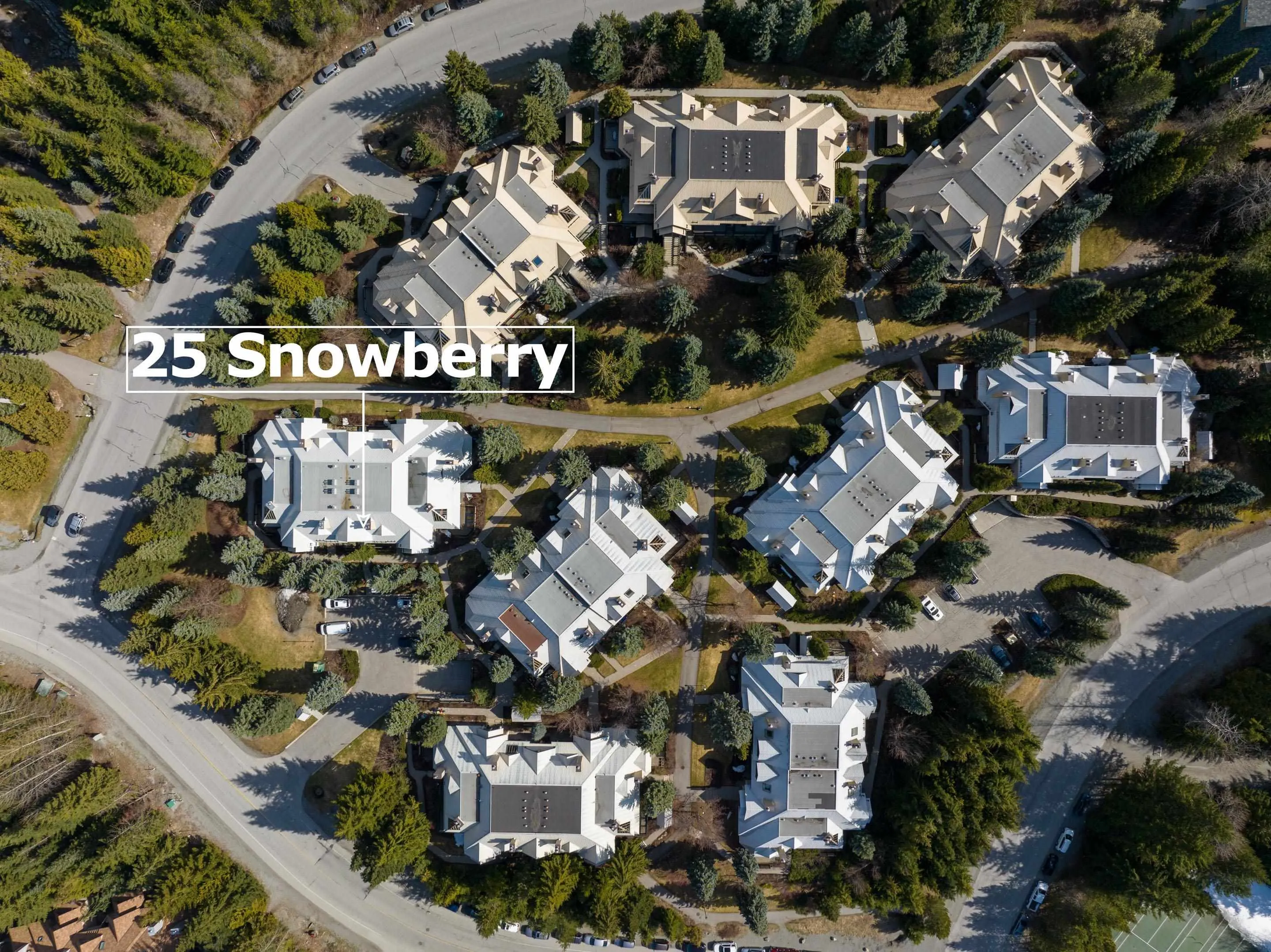 25 4637 Blackcomb Way