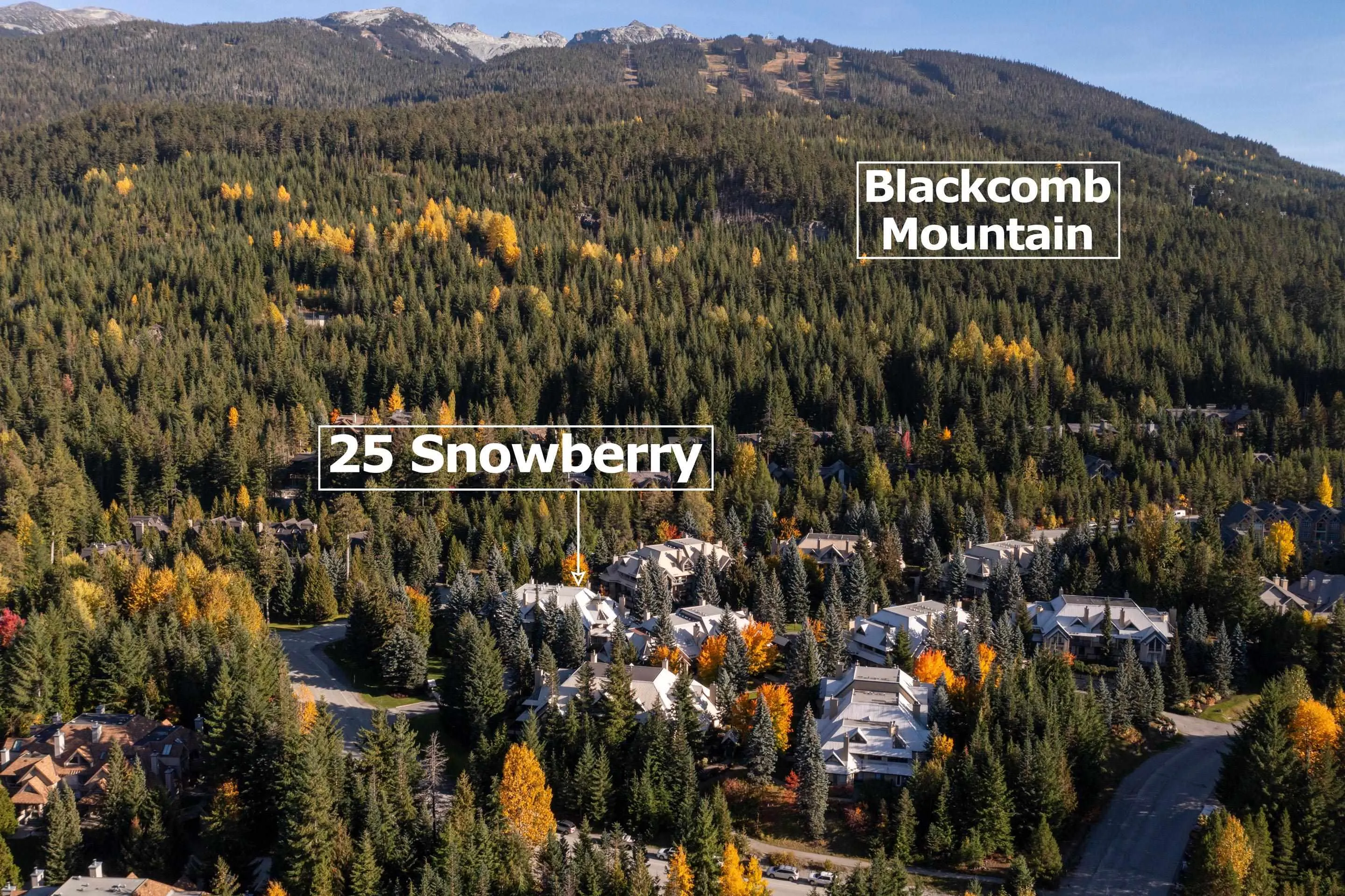 25 4637 Blackcomb Way